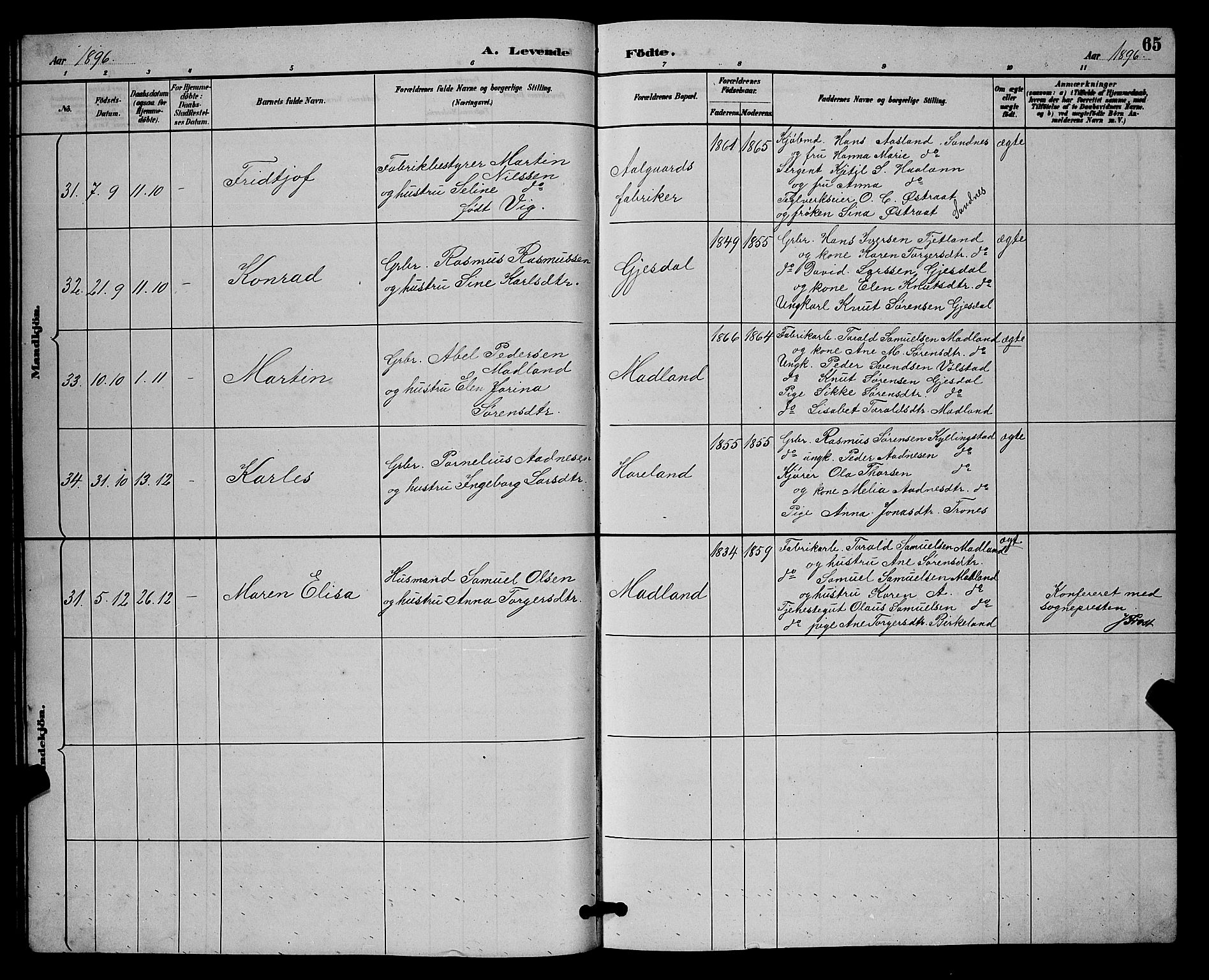 Lye sokneprestkontor, AV/SAST-A-101794/001/30BB/L0008: Parish register (copy) no. B 7, 1887-1901, p. 65