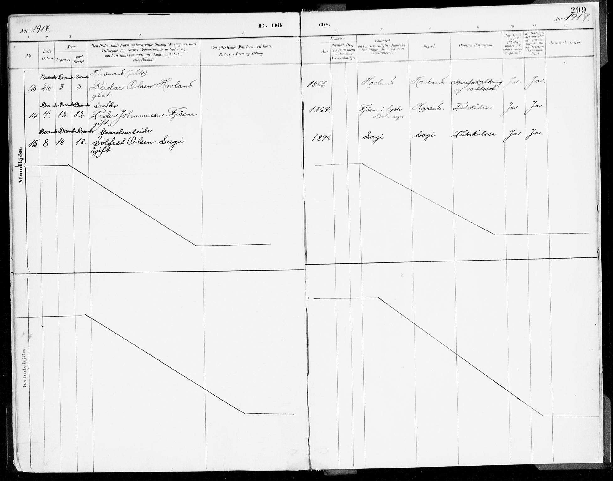 Årdal sokneprestembete, AV/SAB-A-81701: Parish register (official) no. A 5, 1887-1917, p. 299