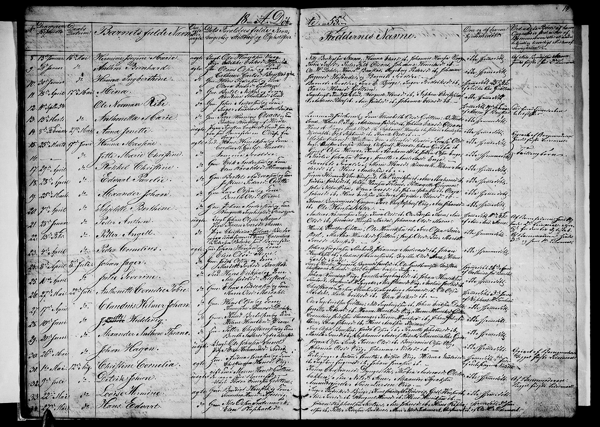 Ministerialprotokoller, klokkerbøker og fødselsregistre - Nordland, SAT/A-1459/812/L0187: Parish register (copy) no. 812C05, 1850-1883, p. 14
