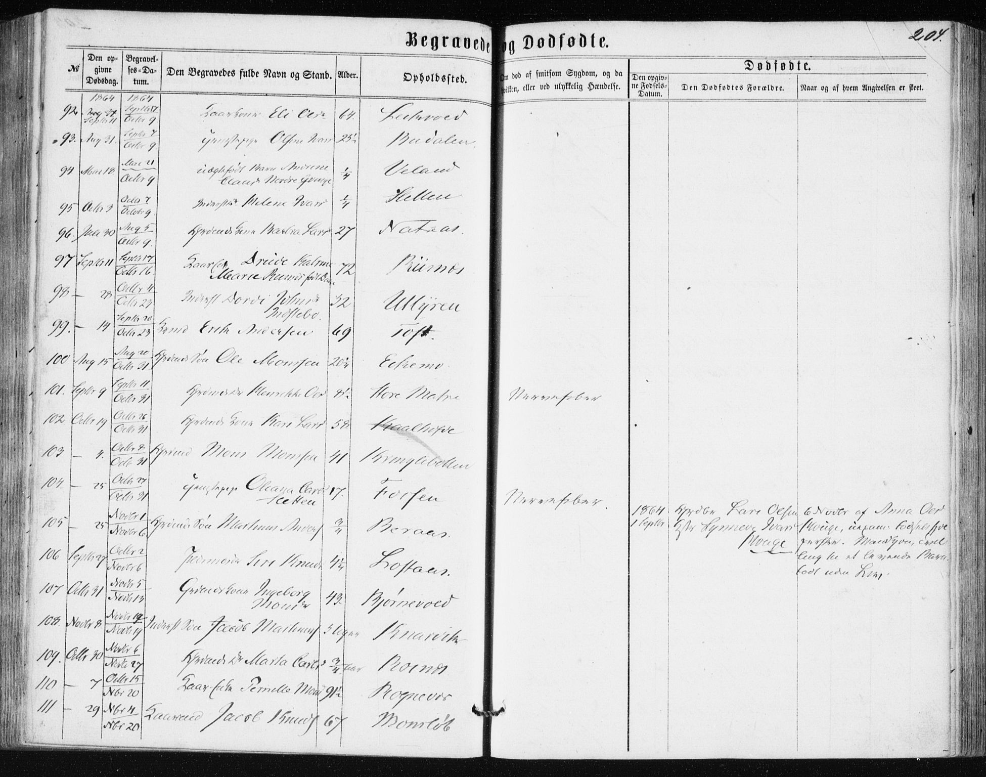 Lindås Sokneprestembete, AV/SAB-A-76701/H/Haa/Haaa/L0016: Parish register (official) no. A 16, 1863-1875, p. 204