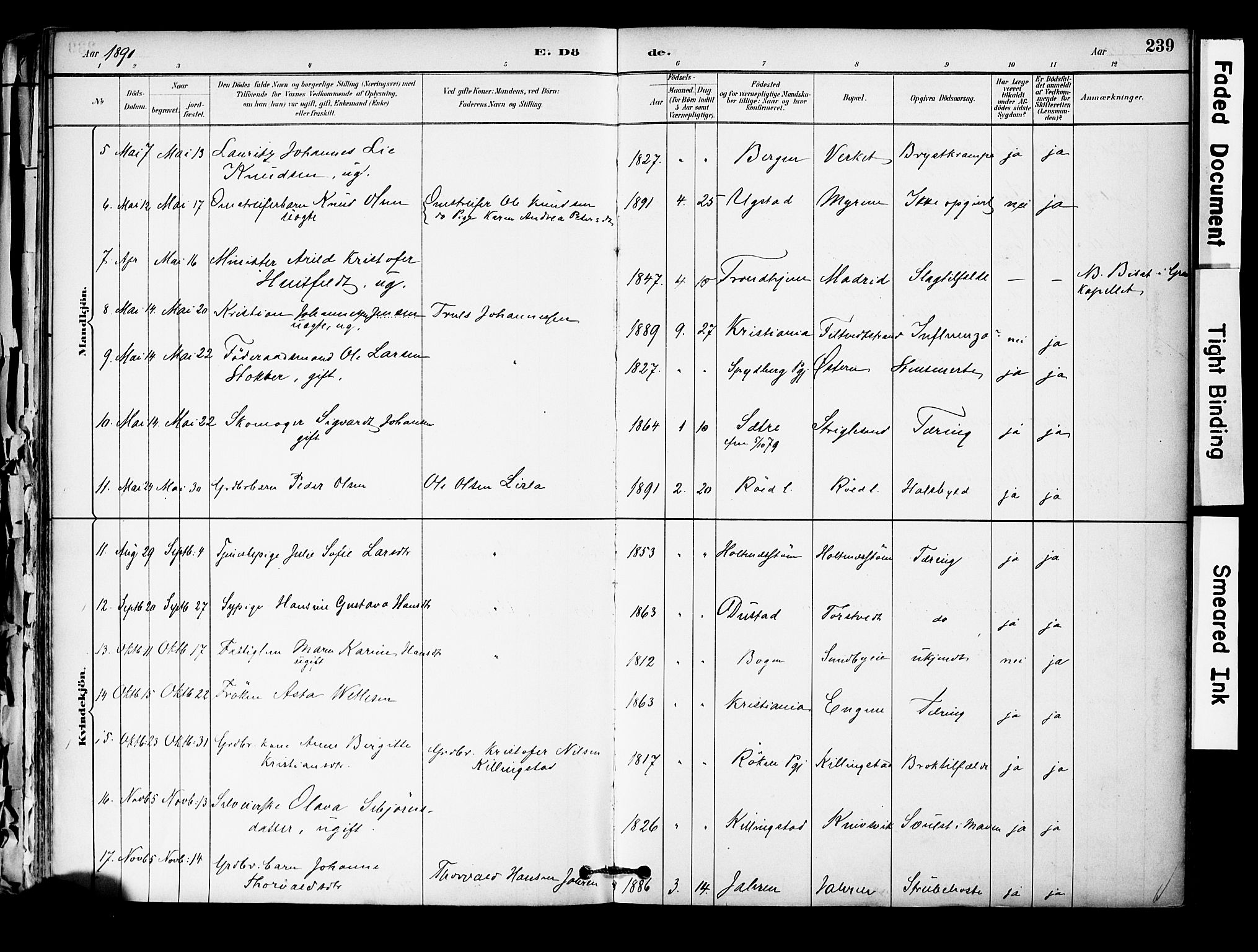 Hurum kirkebøker, AV/SAKO-A-229/F/Fa/L0014: Parish register (official) no. 14, 1882-1895, p. 239