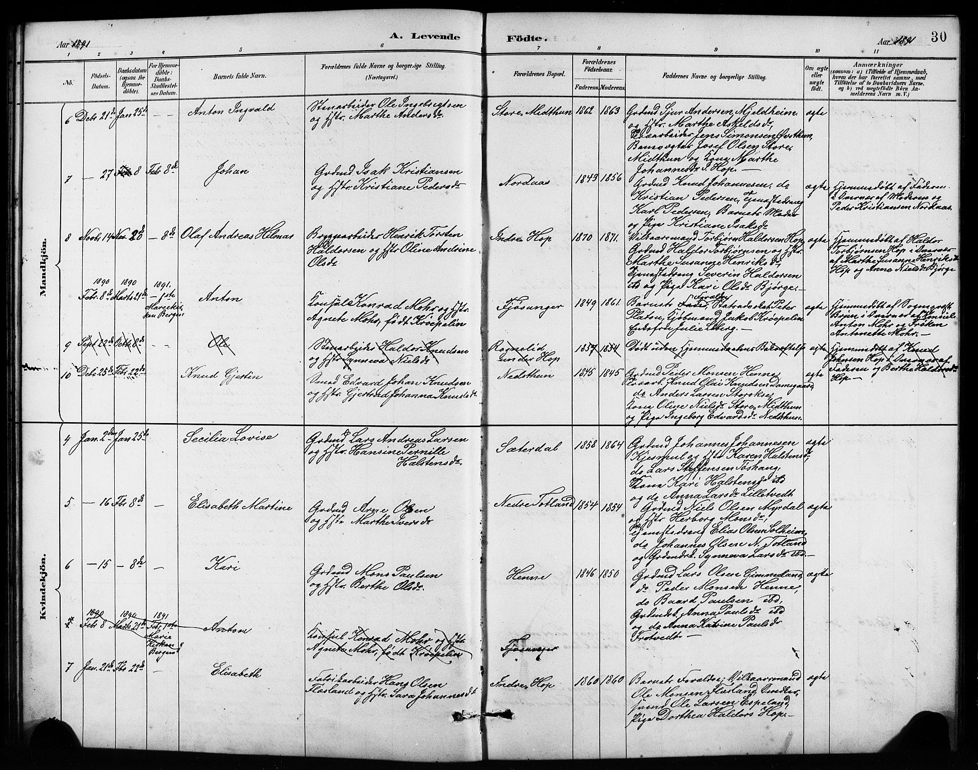 Birkeland Sokneprestembete, SAB/A-74601/H/Hab: Parish register (copy) no. A 4, 1888-1897, p. 30