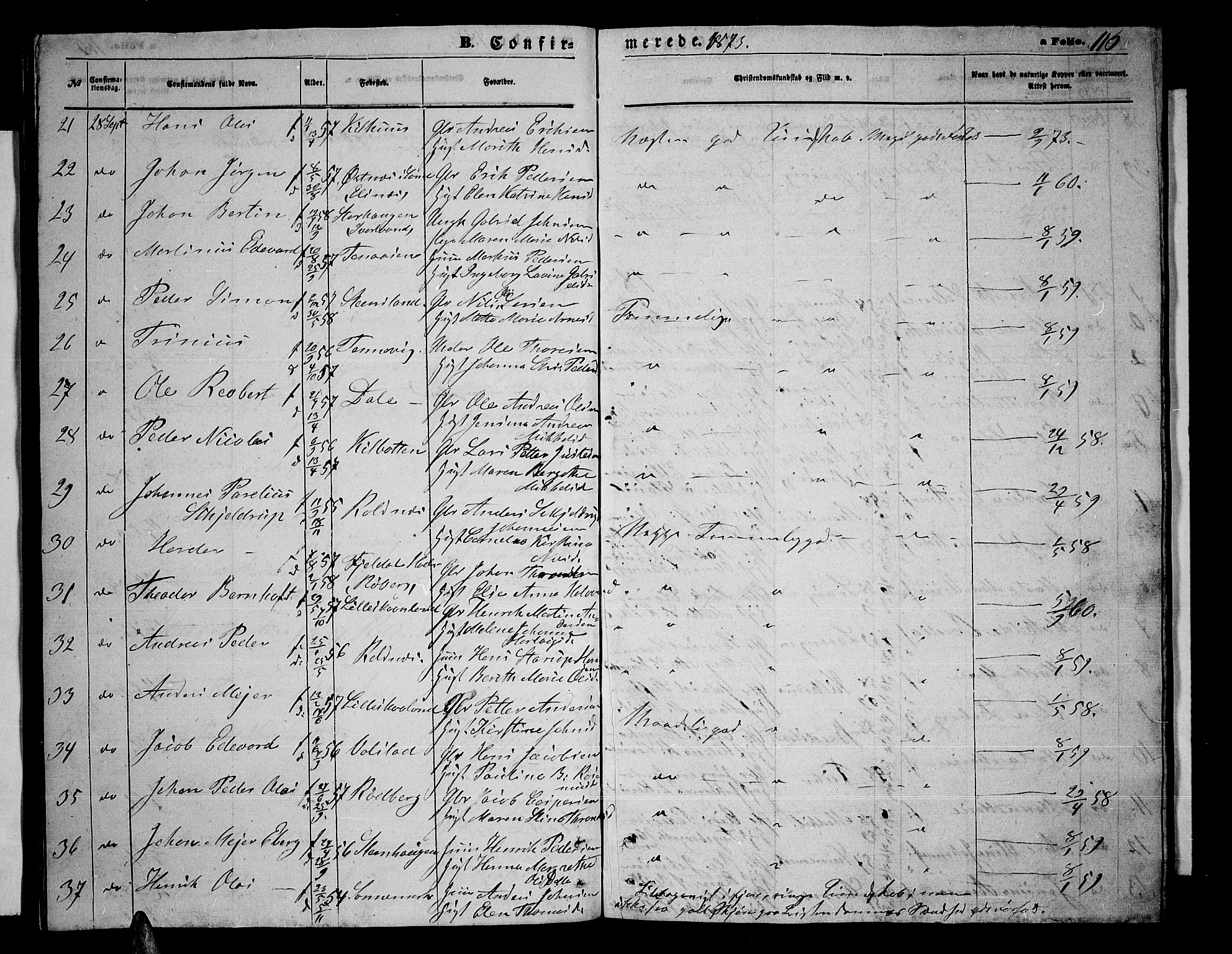 Trondenes sokneprestkontor, SATØ/S-1319/H/Hb/L0009klokker: Parish register (copy) no. 9, 1870-1876, p. 116