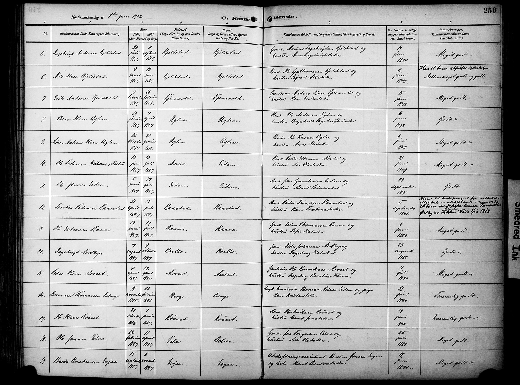 Ministerialprotokoller, klokkerbøker og fødselsregistre - Sør-Trøndelag, AV/SAT-A-1456/695/L1149: Parish register (official) no. 695A09, 1891-1902, p. 250