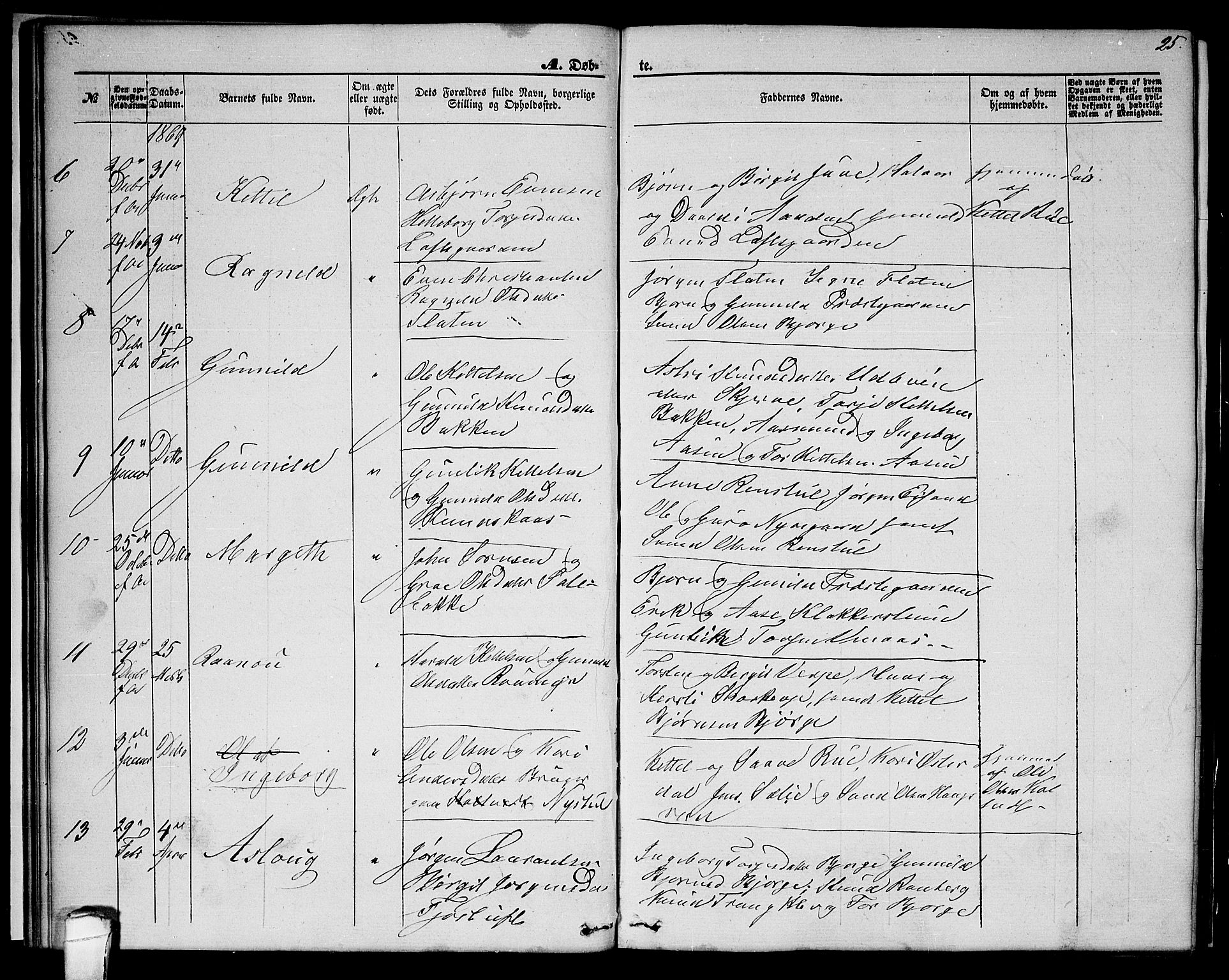 Seljord kirkebøker, SAKO/A-20/G/Ga/L0003: Parish register (copy) no. I 3, 1866-1873, p. 25