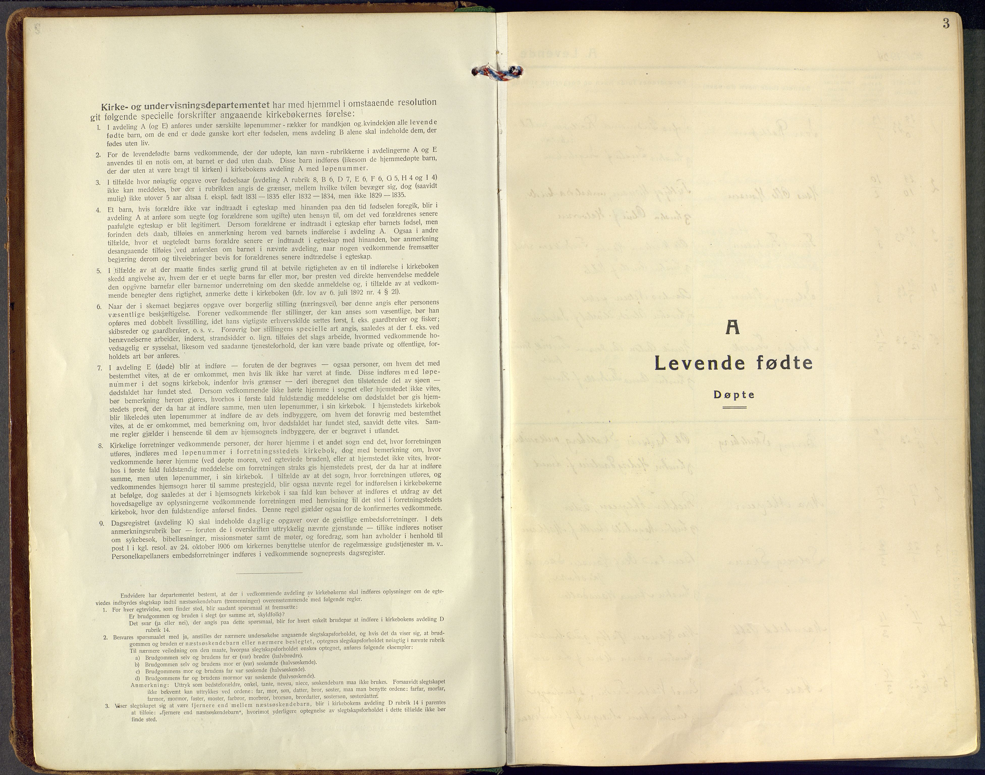 Tjølling kirkebøker, SAKO/A-60/F/Fa/L0011: Parish register (official) no. 11, 1924-1943, p. 3