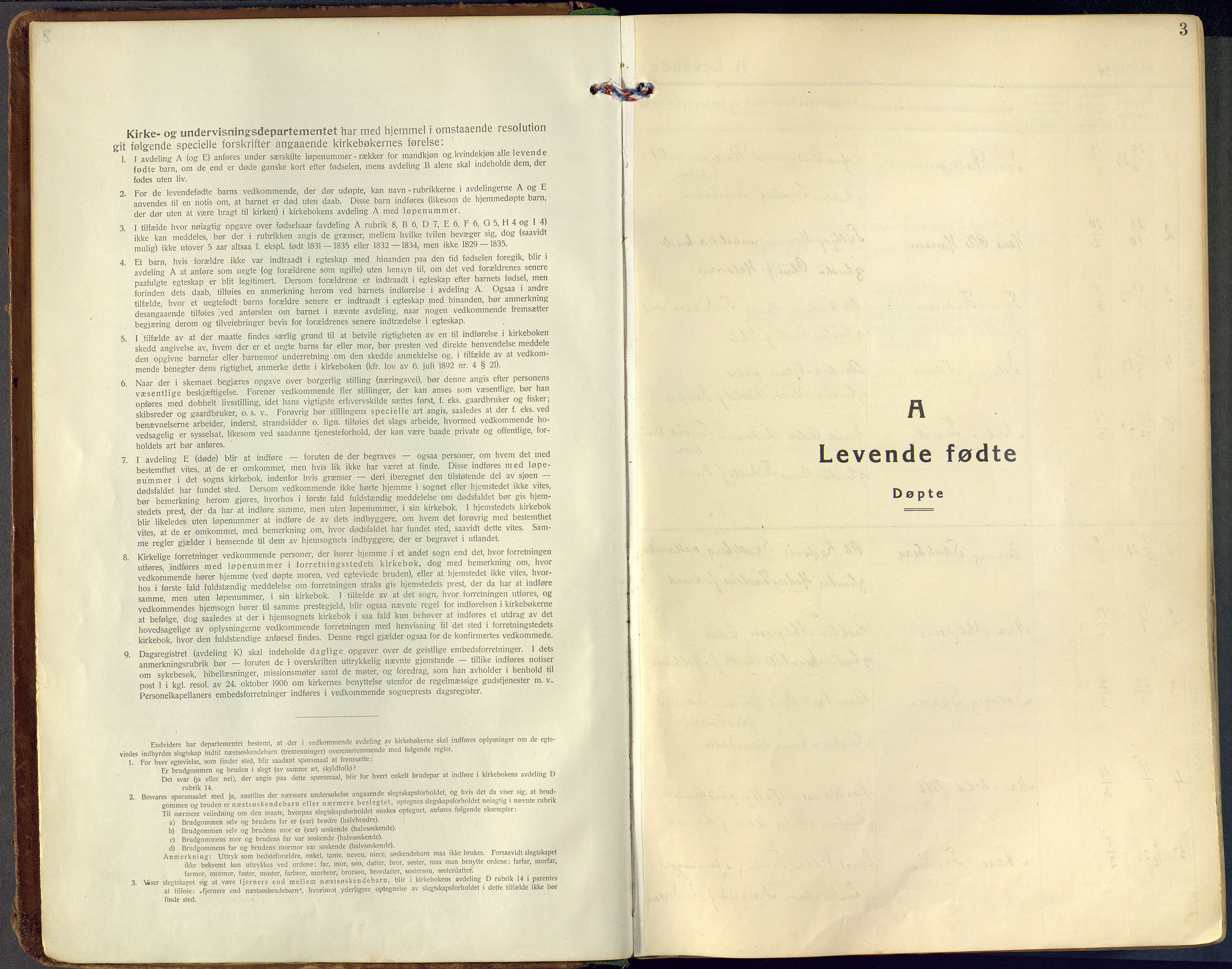 Tjølling kirkebøker, AV/SAKO-A-60/F/Fa/L0011: Parish register (official) no. 11, 1924-1943, p. 3