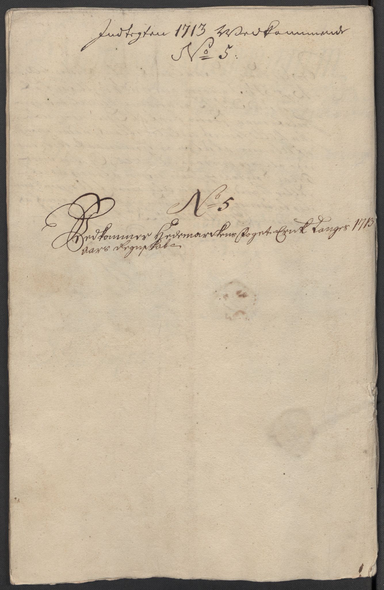 Rentekammeret inntil 1814, Reviderte regnskaper, Fogderegnskap, AV/RA-EA-4092/R16/L1050: Fogderegnskap Hedmark, 1713, p. 218