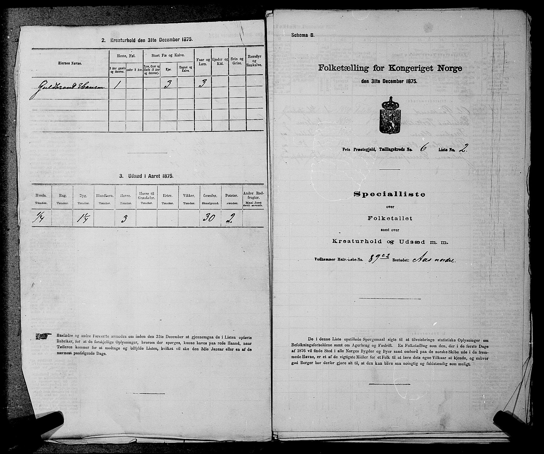 RA, 1875 census for 0227P Fet, 1875, p. 802