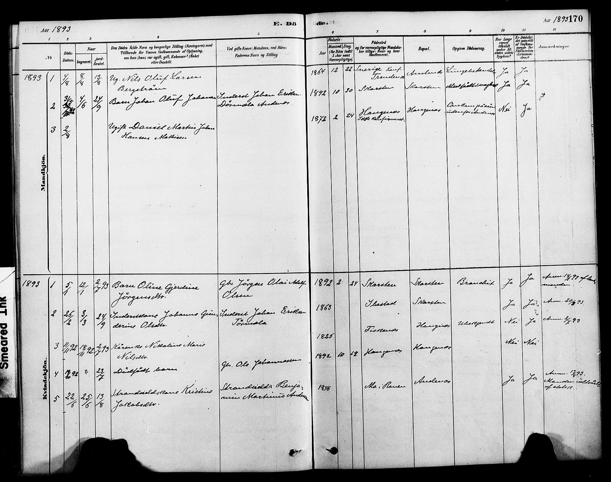 Ministerialprotokoller, klokkerbøker og fødselsregistre - Nordland, AV/SAT-A-1459/899/L1436: Parish register (official) no. 899A04, 1881-1896, p. 170