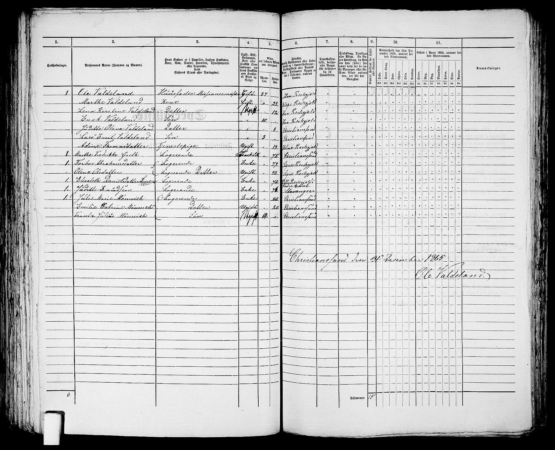 RA, 1865 census for Kristiansand, 1865, p. 1762