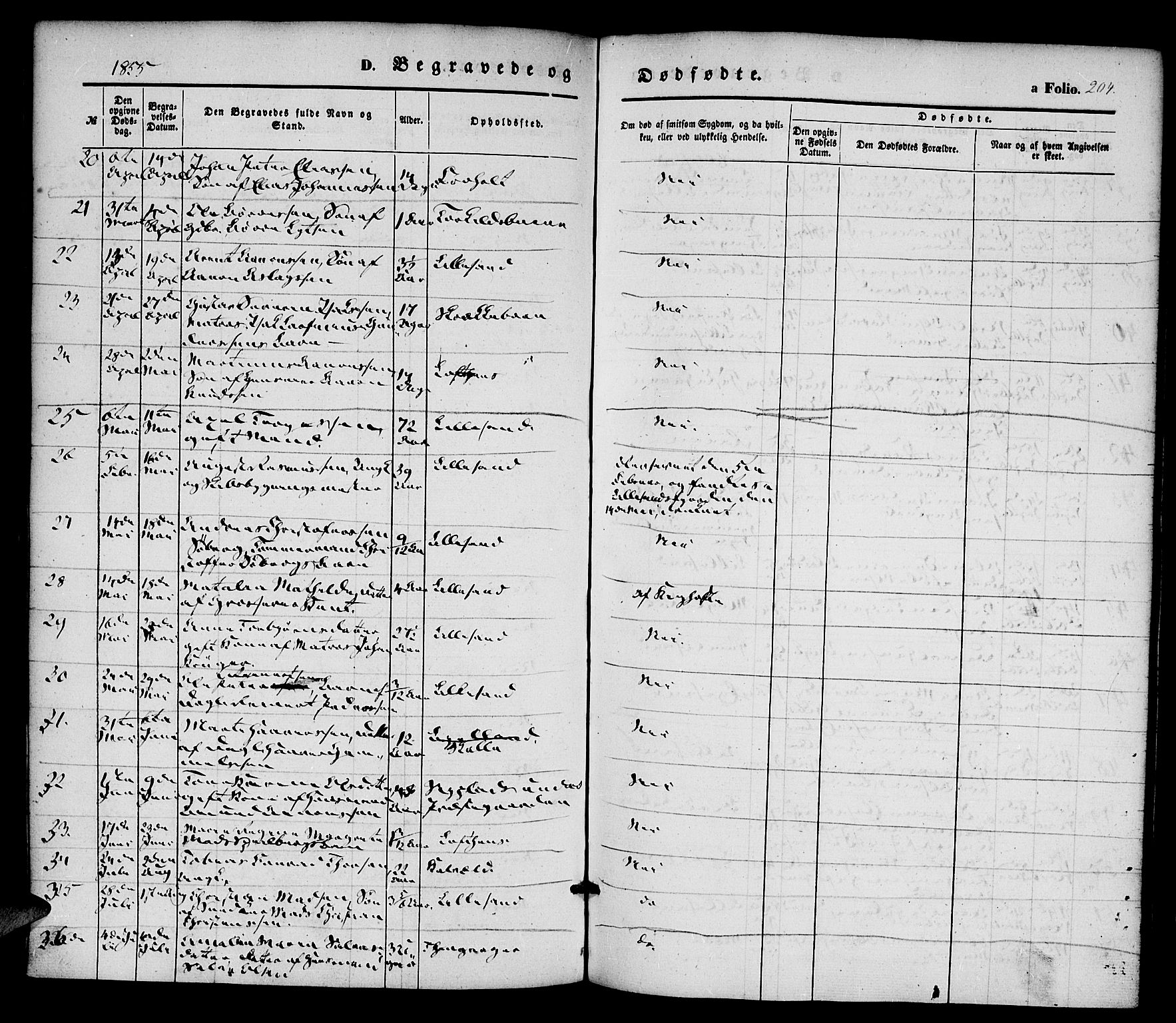 Vestre Moland sokneprestkontor, AV/SAK-1111-0046/F/Fa/Fab/L0006: Parish register (official) no. A 6, 1850-1858, p. 204