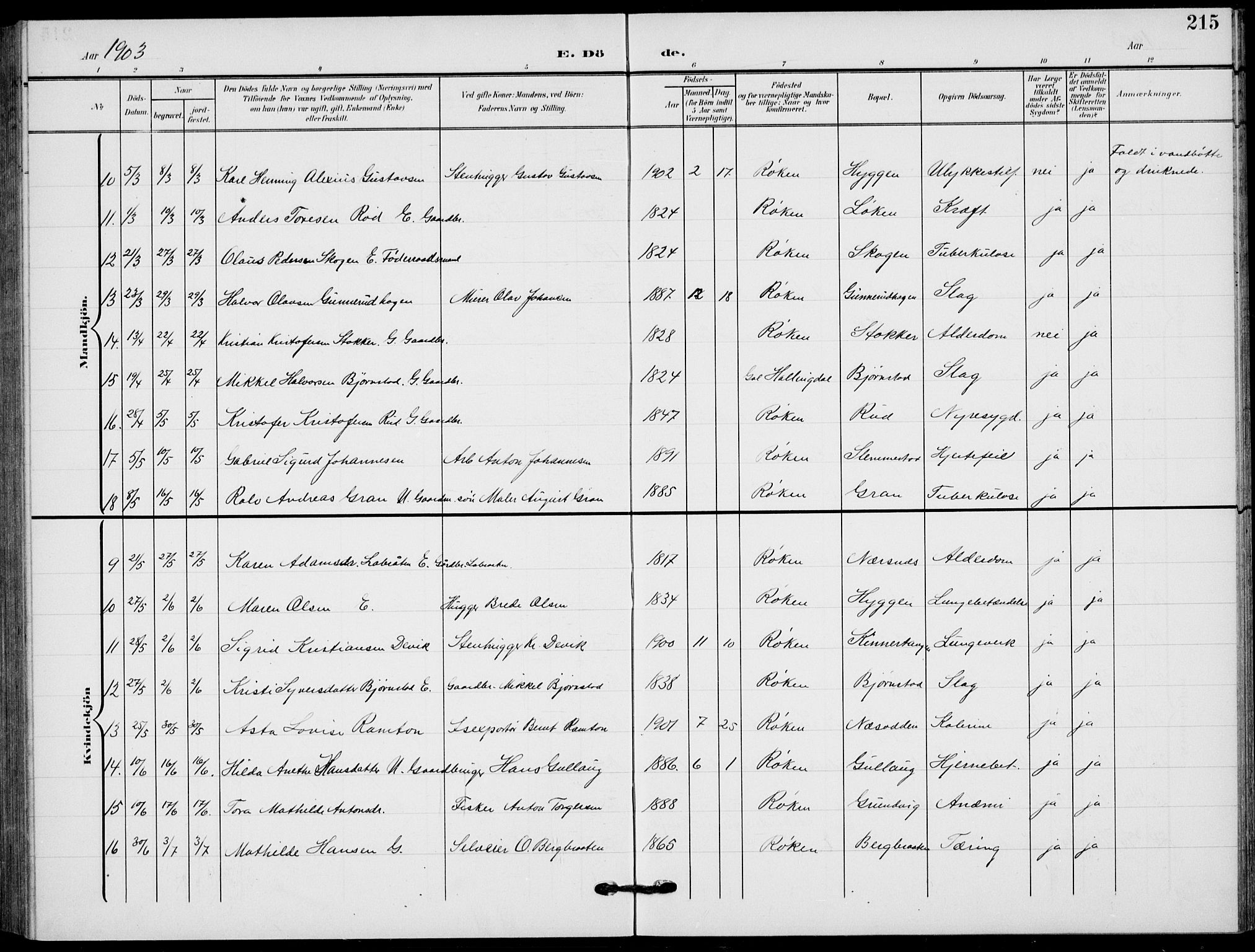 Røyken kirkebøker, AV/SAKO-A-241/G/Ga/L0005: Parish register (copy) no. 5, 1903-1918, p. 215