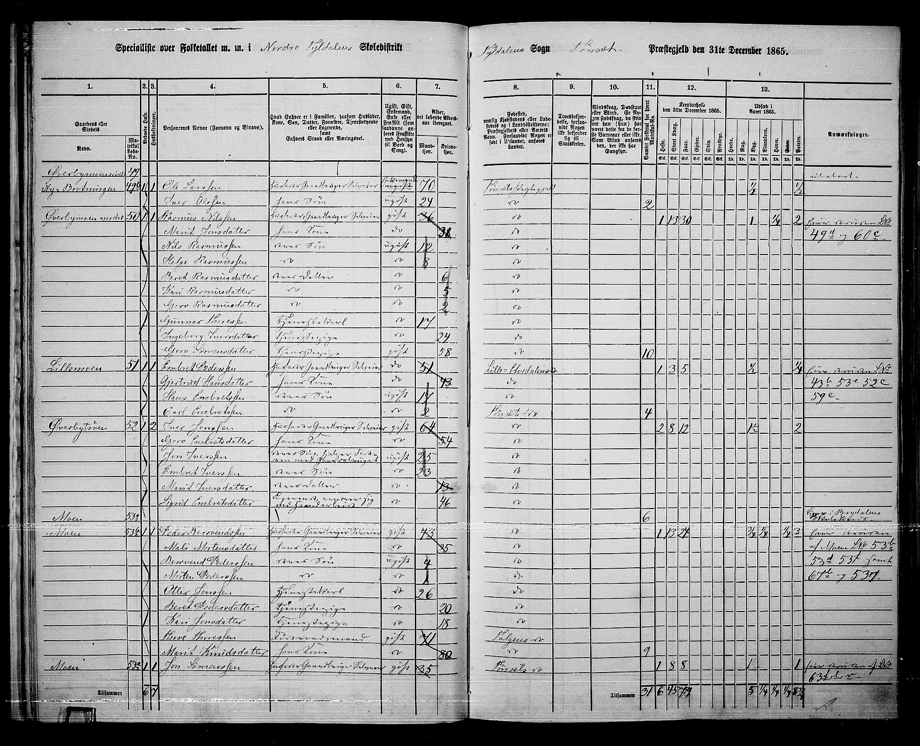 RA, 1865 census for Tynset, 1865, p. 31