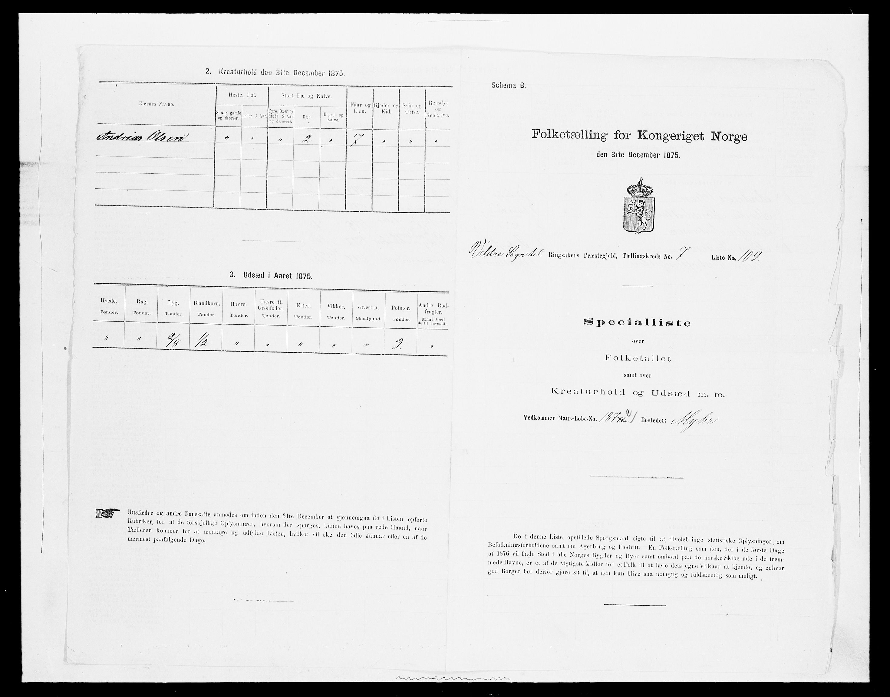 SAH, 1875 census for 0412P Ringsaker, 1875, p. 1623