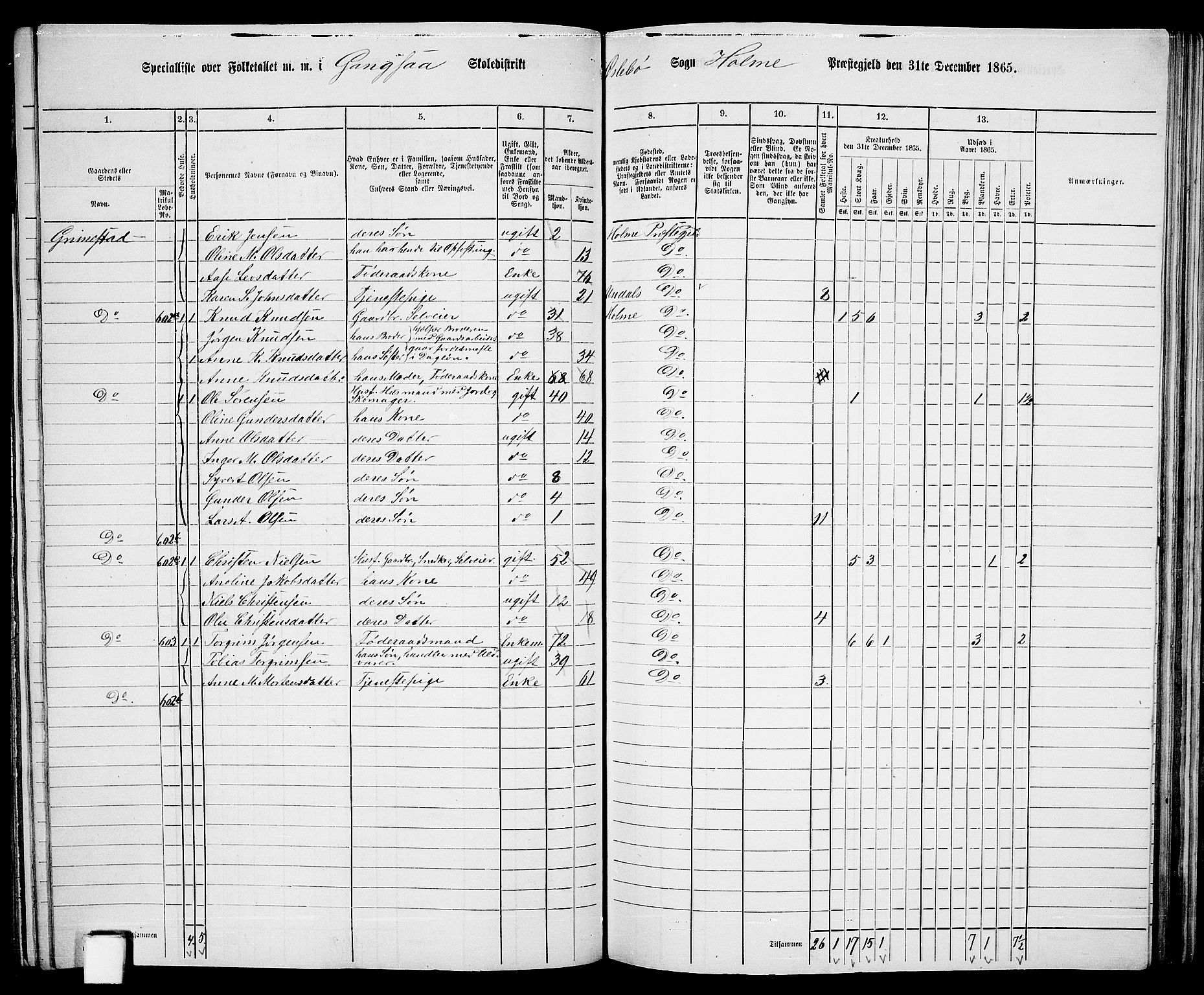 RA, 1865 census for Holum, 1865, p. 113