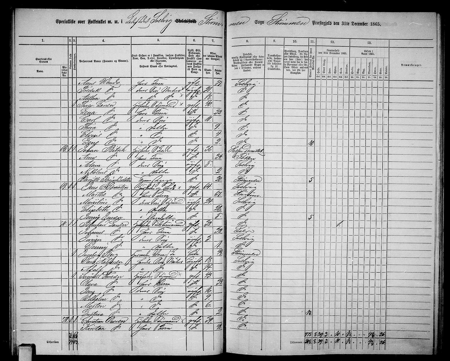 RA, 1865 census for Strømm, 1865, p. 78