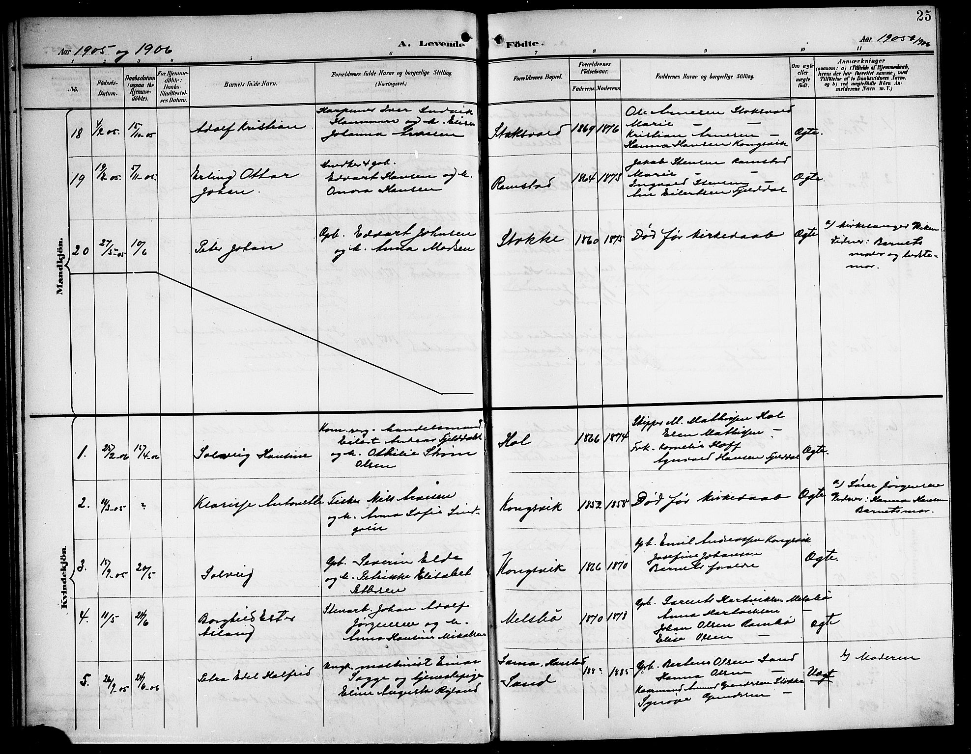 Ministerialprotokoller, klokkerbøker og fødselsregistre - Nordland, AV/SAT-A-1459/865/L0932: Parish register (copy) no. 865C04, 1901-1917, p. 25