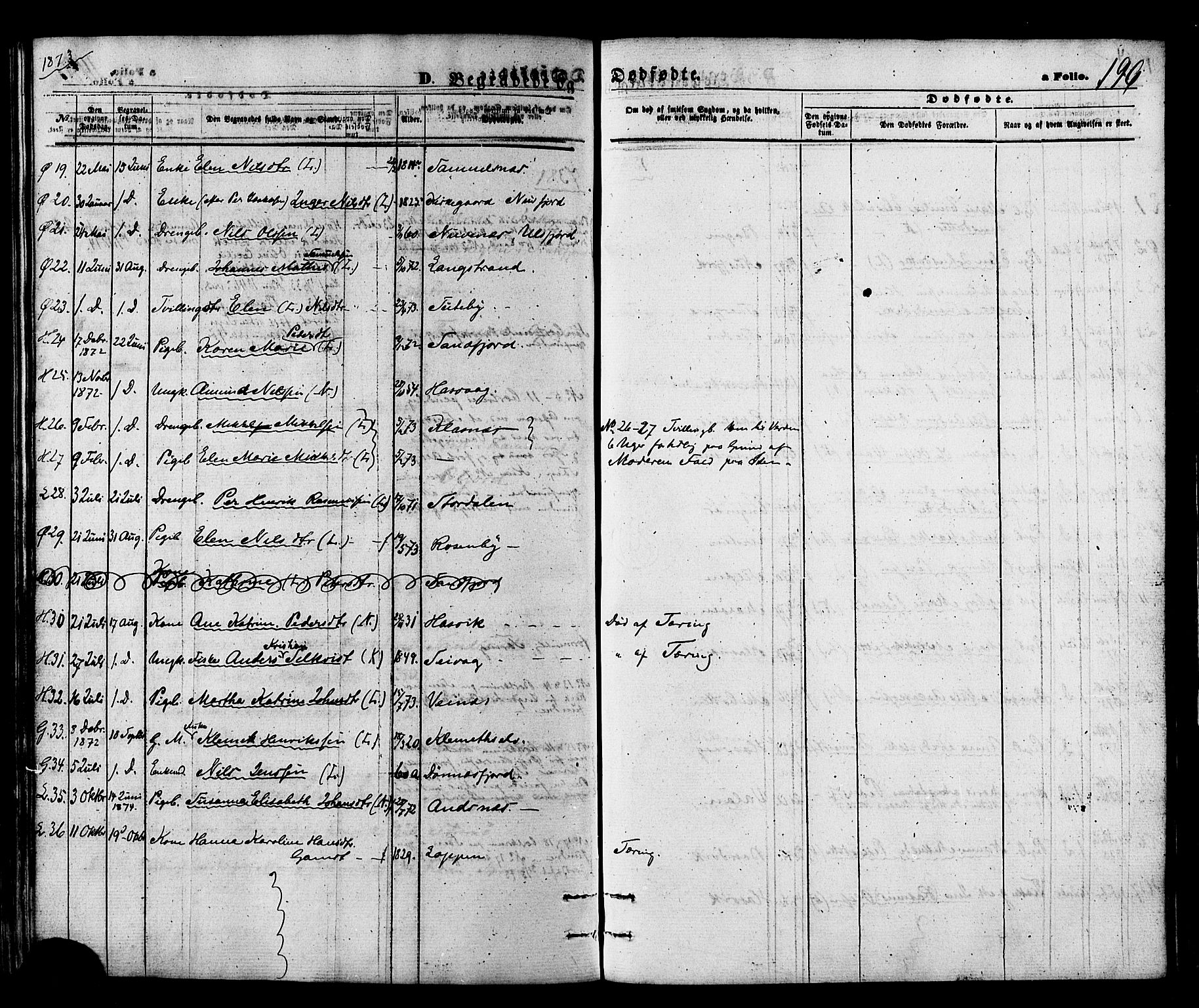 Loppa sokneprestkontor, SATØ/S-1339/H/Ha/L0005kirke: Parish register (official) no. 5, 1869-1878, p. 196
