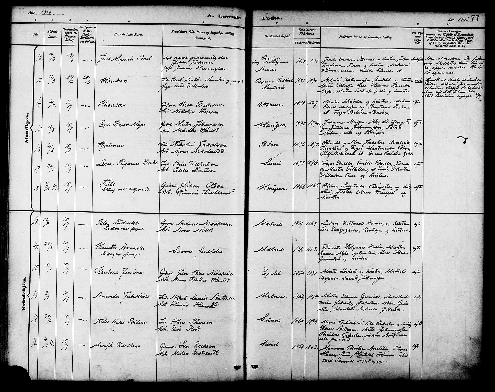 Ministerialprotokoller, klokkerbøker og fødselsregistre - Nordland, AV/SAT-A-1459/892/L1320: Parish register (official) no. 892A01, 1886-1901, p. 77