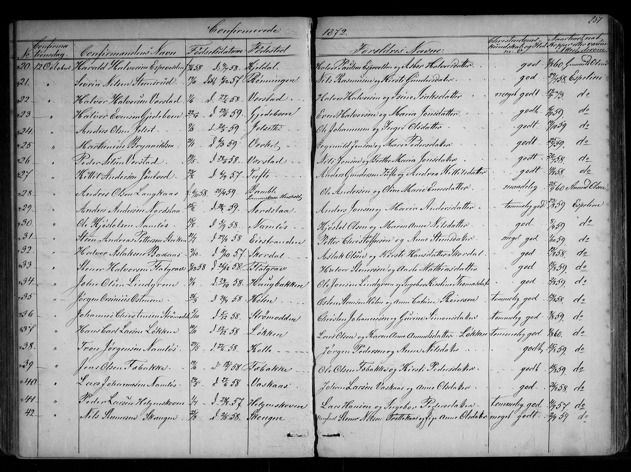 Holla kirkebøker, SAKO/A-272/G/Ga/L0004: Parish register (copy) no. I 4, 1867-1890, p. 251