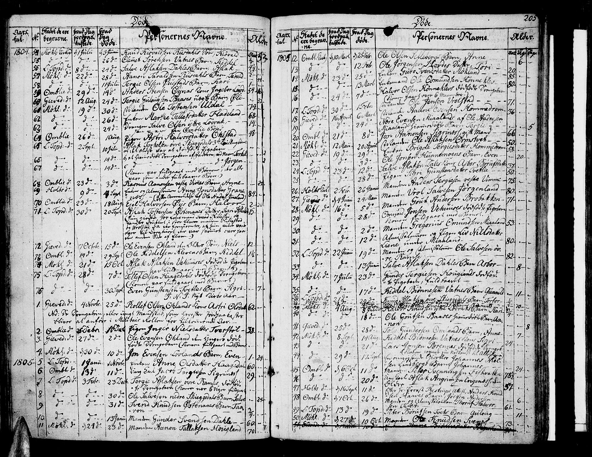 Åmli sokneprestkontor, AV/SAK-1111-0050/F/Fa/Fac/L0005: Parish register (official) no. A 5, 1796-1816, p. 205