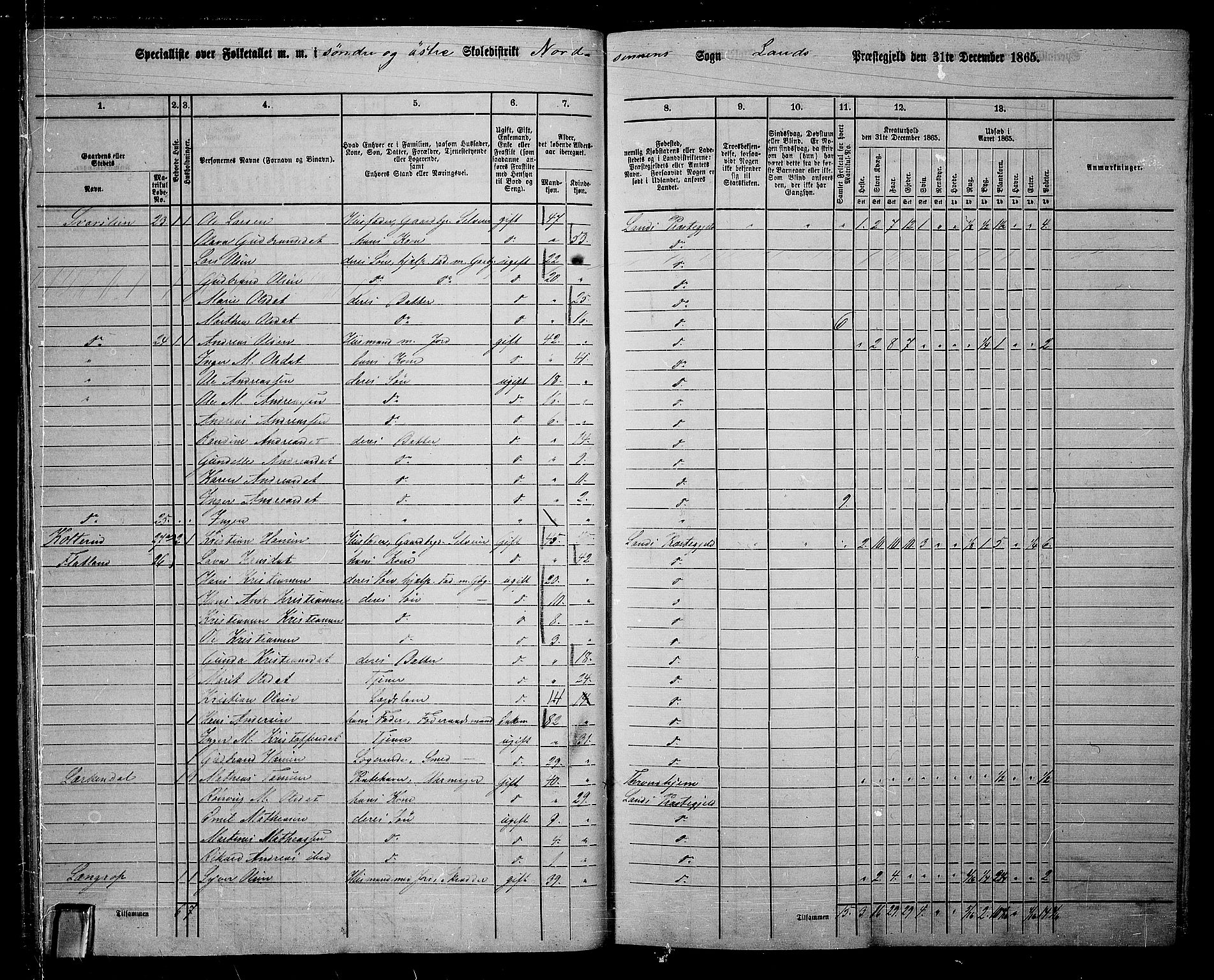 RA, 1865 census for Land, 1865, p. 49