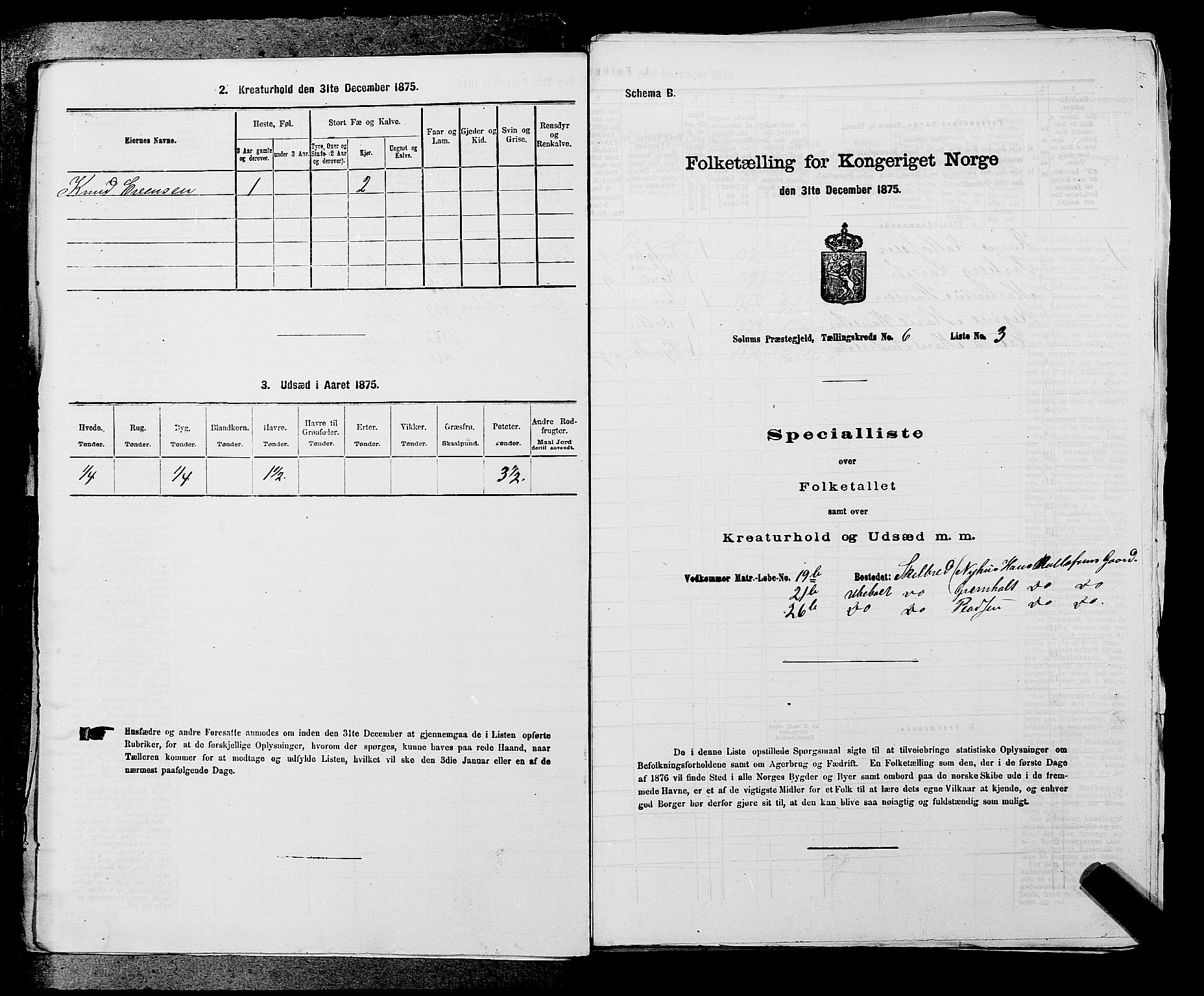 SAKO, 1875 census for 0818P Solum, 1875, p. 996