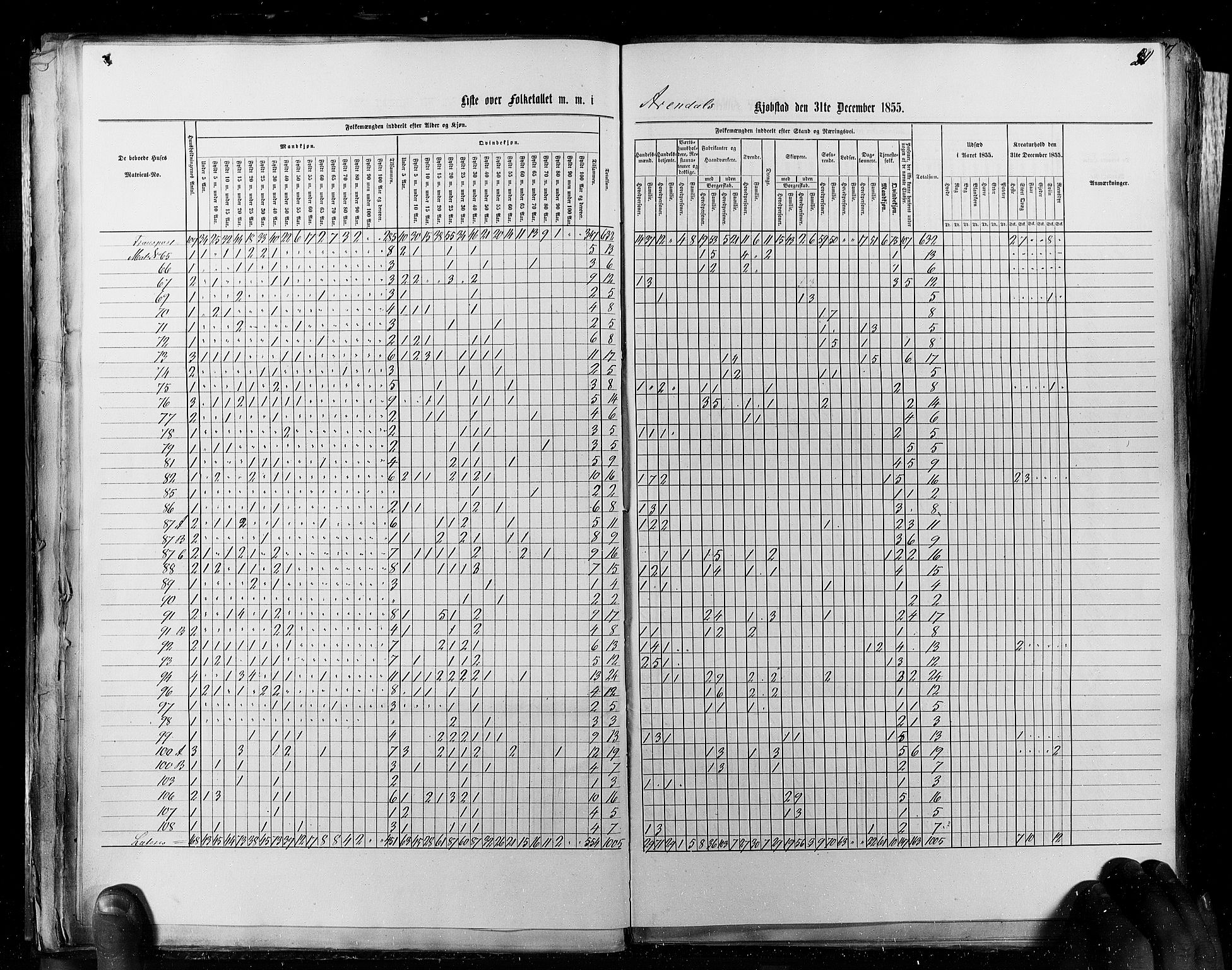 RA, Census 1855, vol. 8: Risør-Vadsø, 1855, p. 20