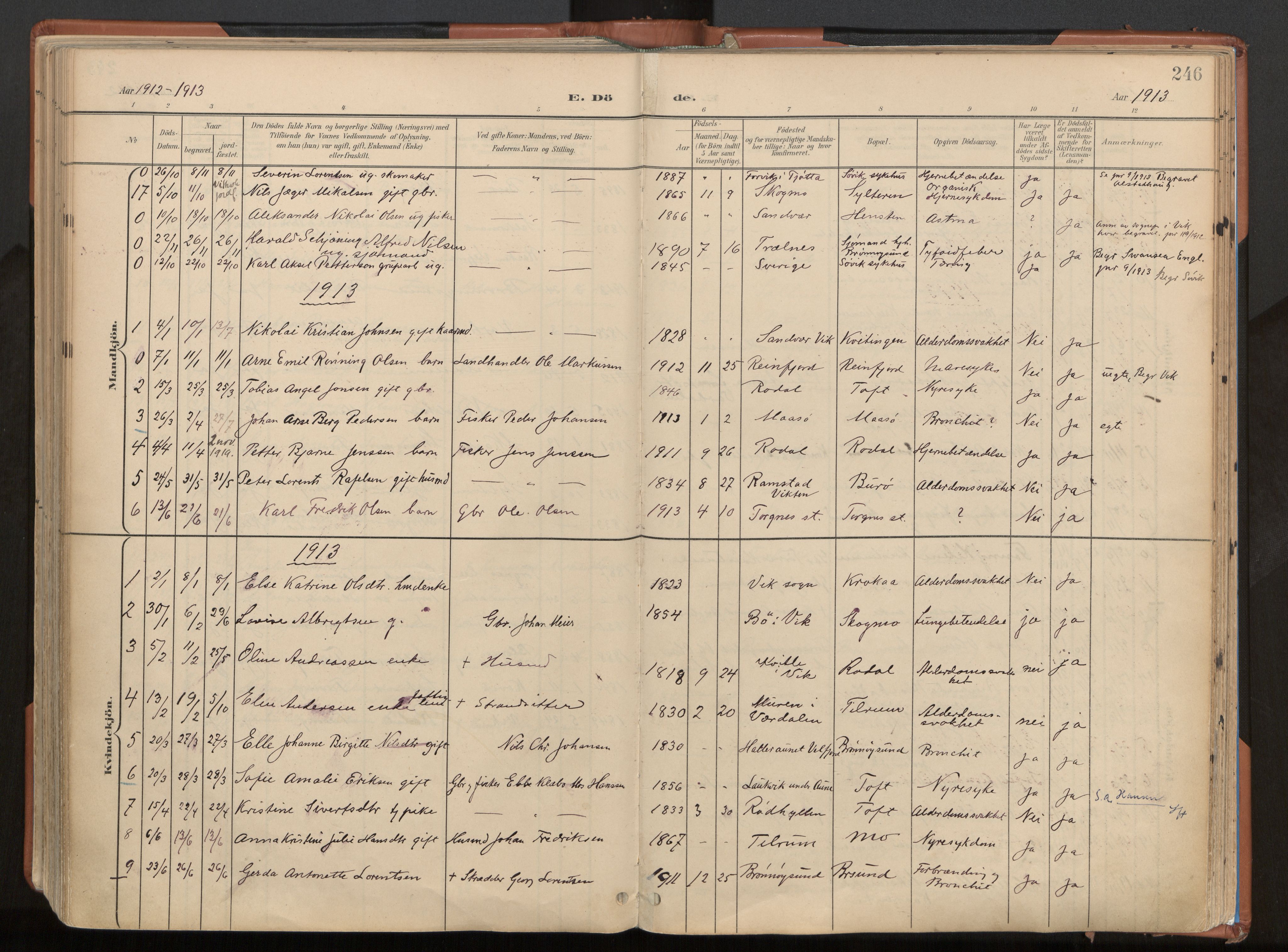 Ministerialprotokoller, klokkerbøker og fødselsregistre - Nordland, SAT/A-1459/813/L0201: Parish register (official) no. 813A11, 1901-1918, p. 246