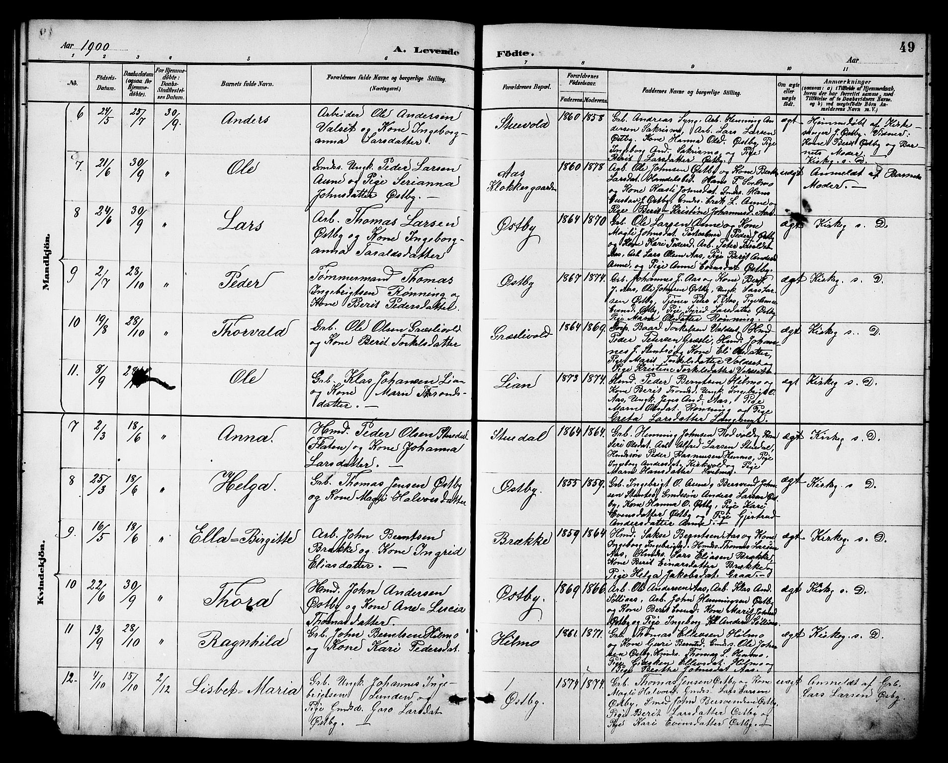 Ministerialprotokoller, klokkerbøker og fødselsregistre - Sør-Trøndelag, AV/SAT-A-1456/698/L1167: Parish register (copy) no. 698C04, 1888-1907, p. 49