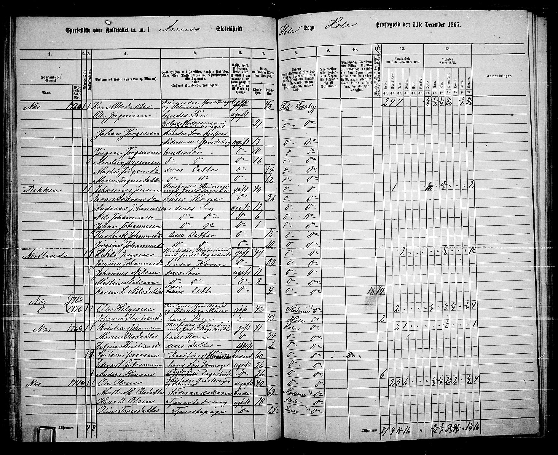 RA, 1865 census for Hole, 1865, p. 60