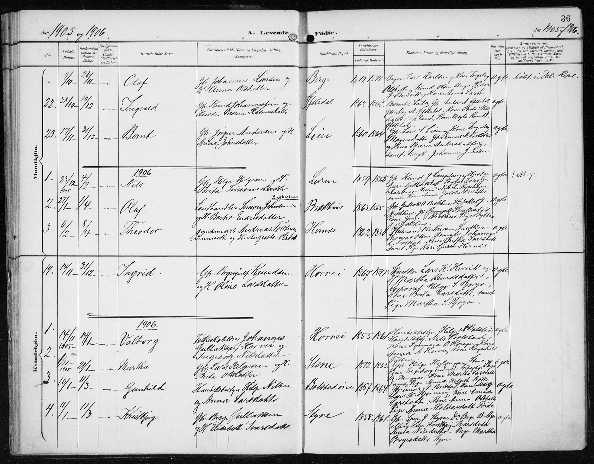 Evanger sokneprestembete, SAB/A-99924: Parish register (official) no. A  3, 1900-1930, p. 36