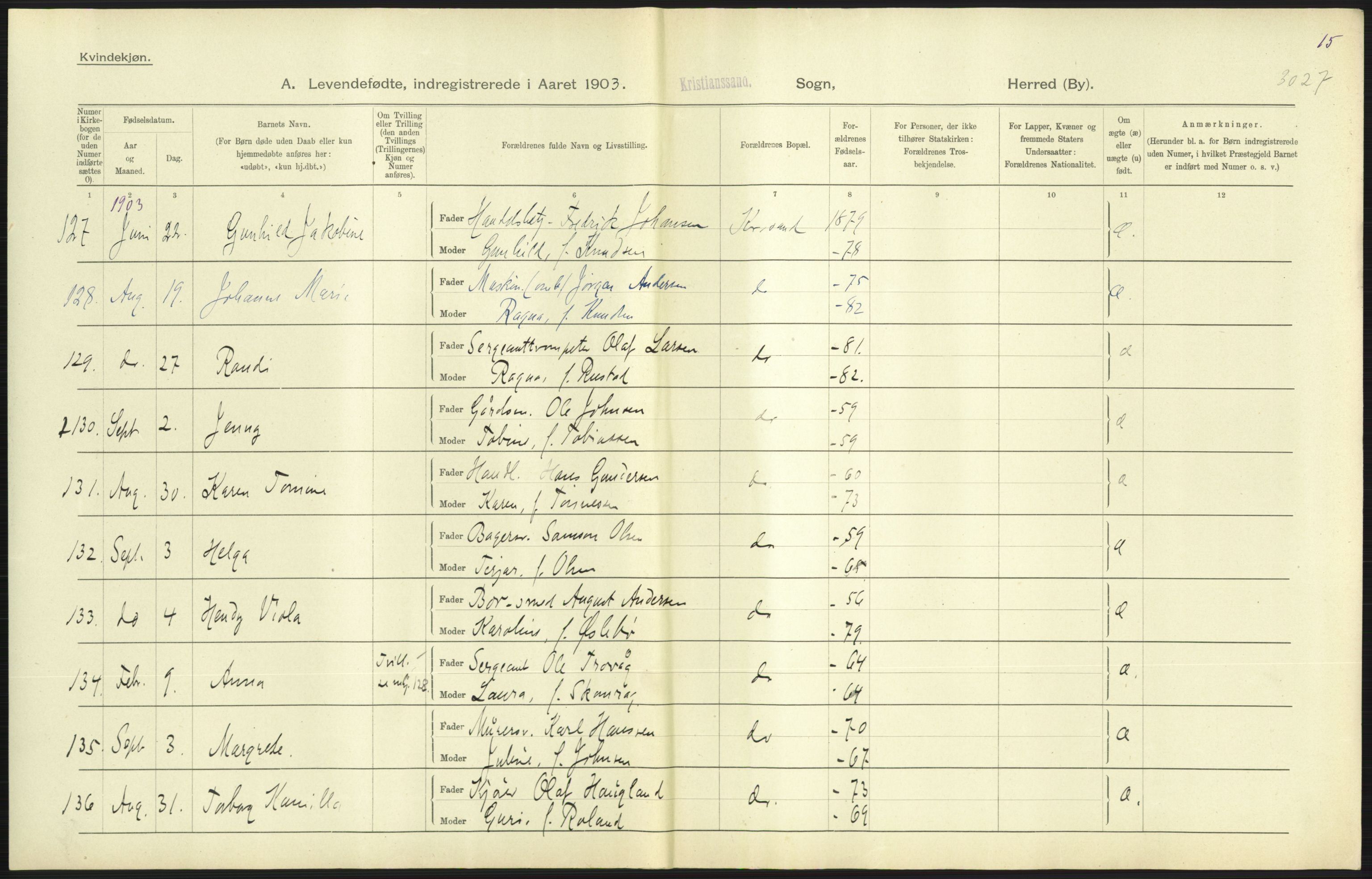 Statistisk sentralbyrå, Sosiodemografiske emner, Befolkning, AV/RA-S-2228/D/Df/Dfa/Dfaa/L0011: Lister og Mandal amt: Fødte, gifte, døde, 1903, p. 243