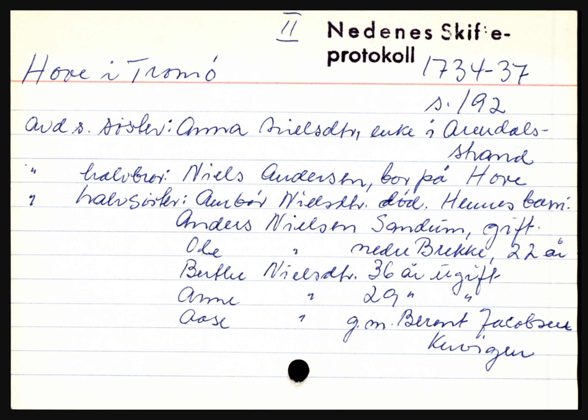 Nedenes sorenskriveri før 1824, AV/SAK-1221-0007/H, p. 13203