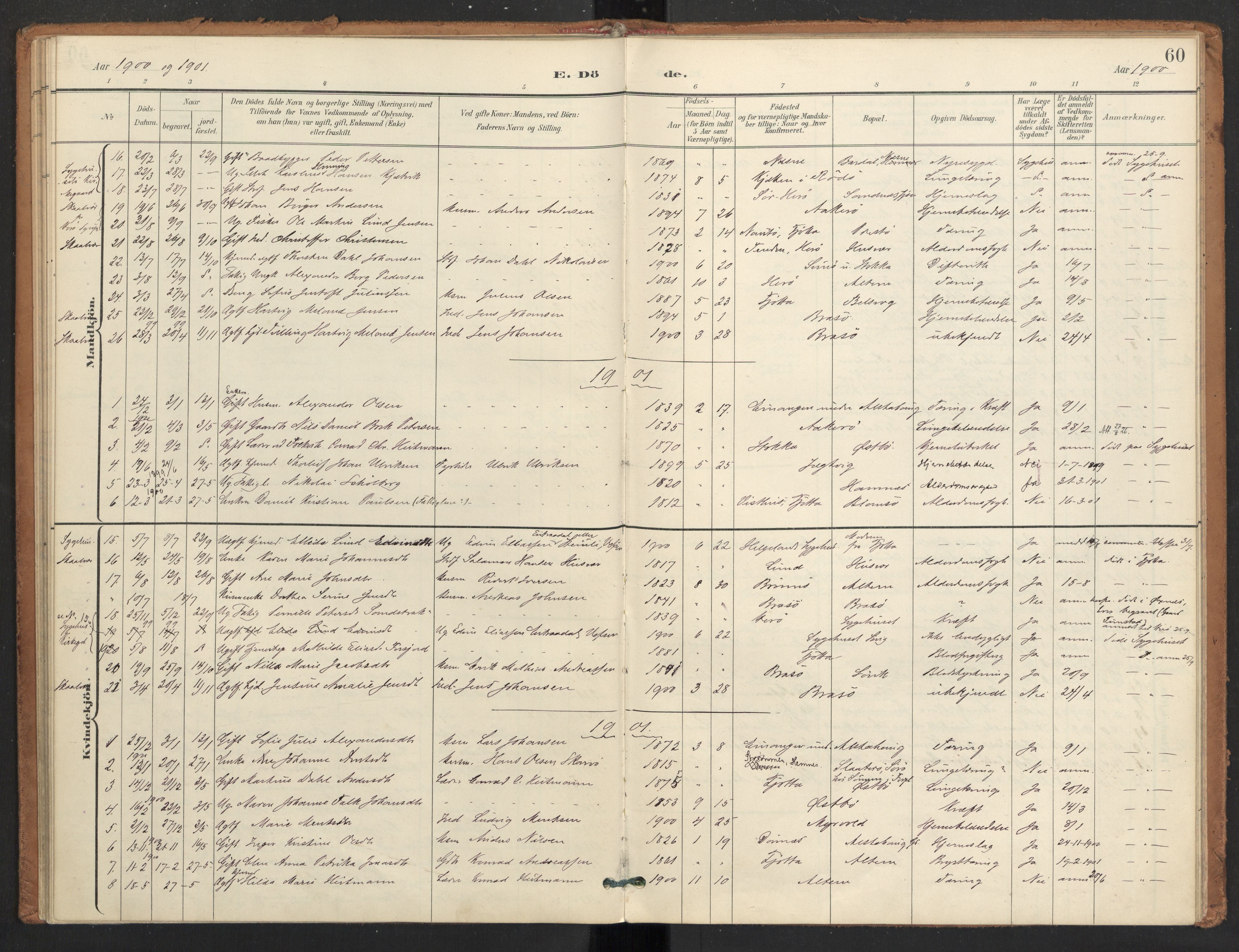 Ministerialprotokoller, klokkerbøker og fødselsregistre - Nordland, SAT/A-1459/830/L0454: Parish register (official) no. 830A18, 1897-1913, p. 60