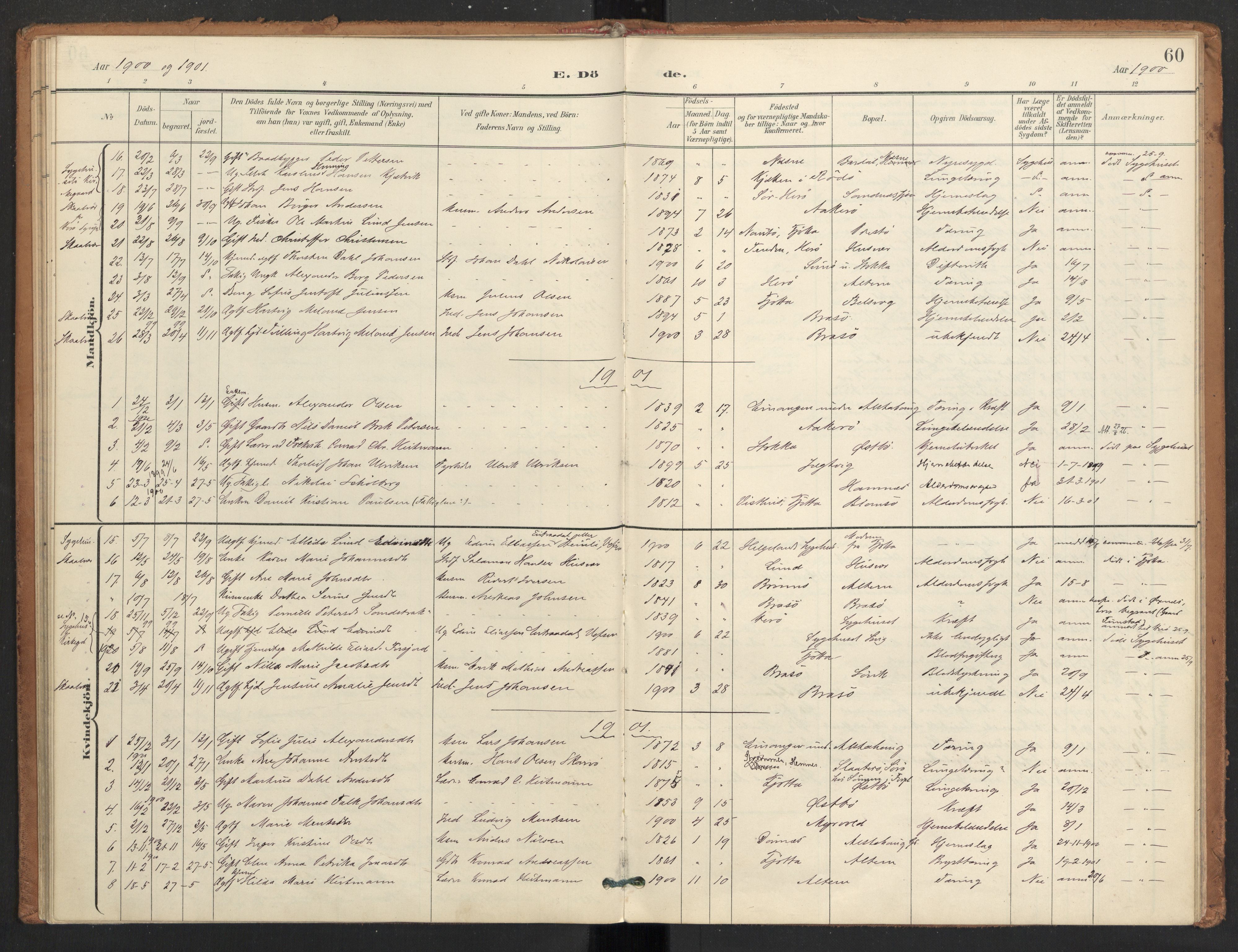 Ministerialprotokoller, klokkerbøker og fødselsregistre - Nordland, AV/SAT-A-1459/830/L0454: Parish register (official) no. 830A18, 1897-1913, p. 60