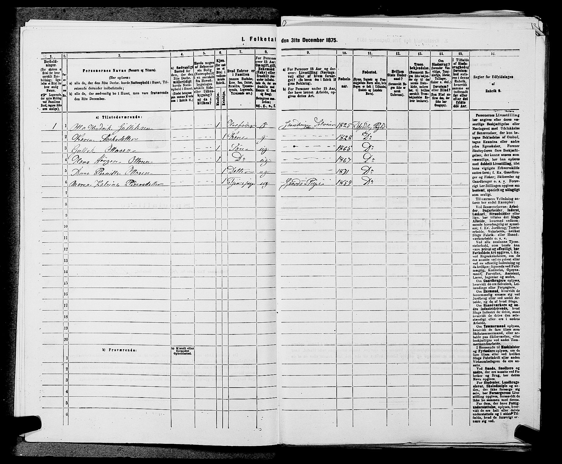 SAKO, 1875 census for 0725P Tjølling, 1875, p. 888