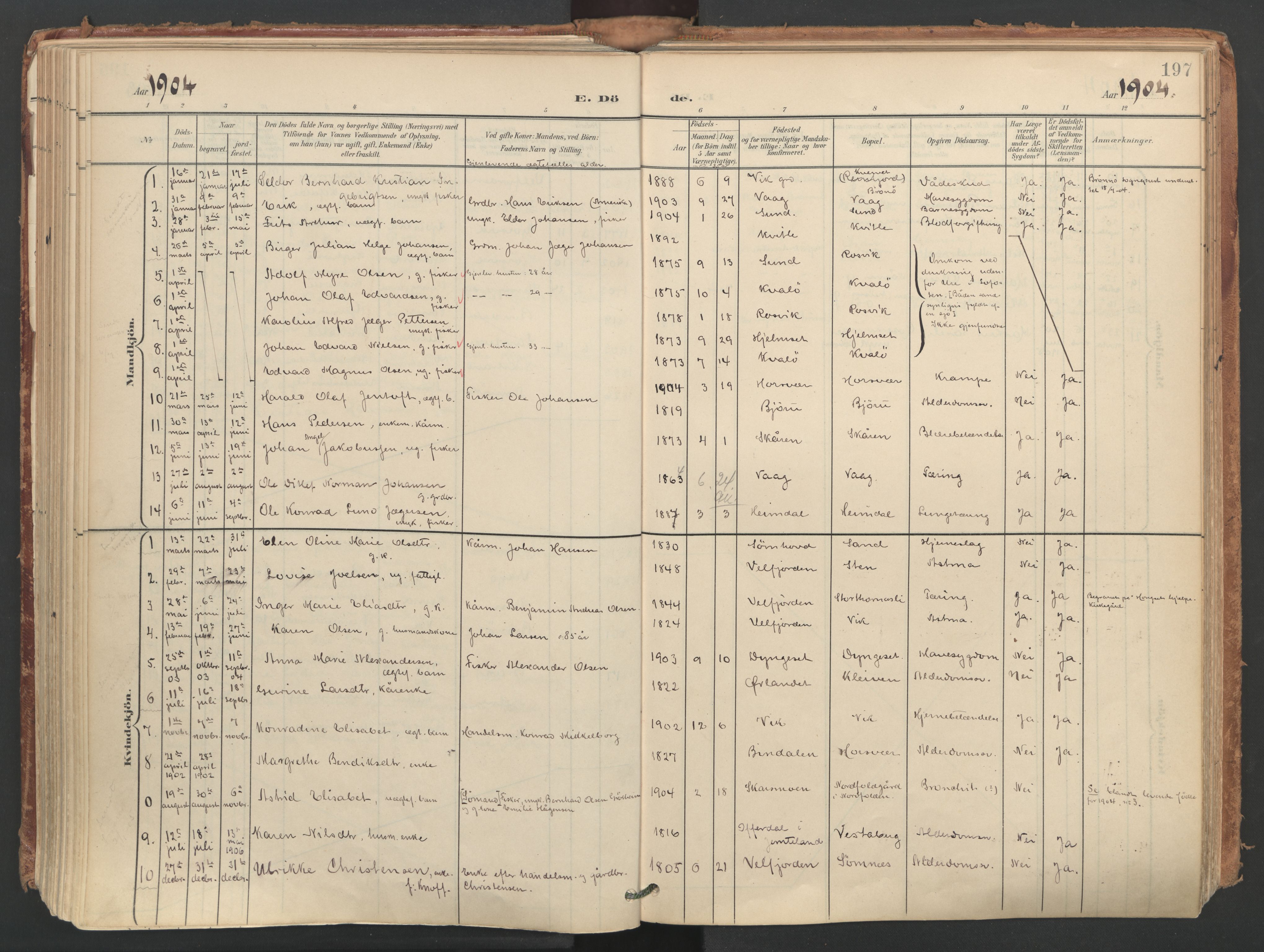 Ministerialprotokoller, klokkerbøker og fødselsregistre - Nordland, SAT/A-1459/812/L0180: Parish register (official) no. 812A09, 1901-1915, p. 197