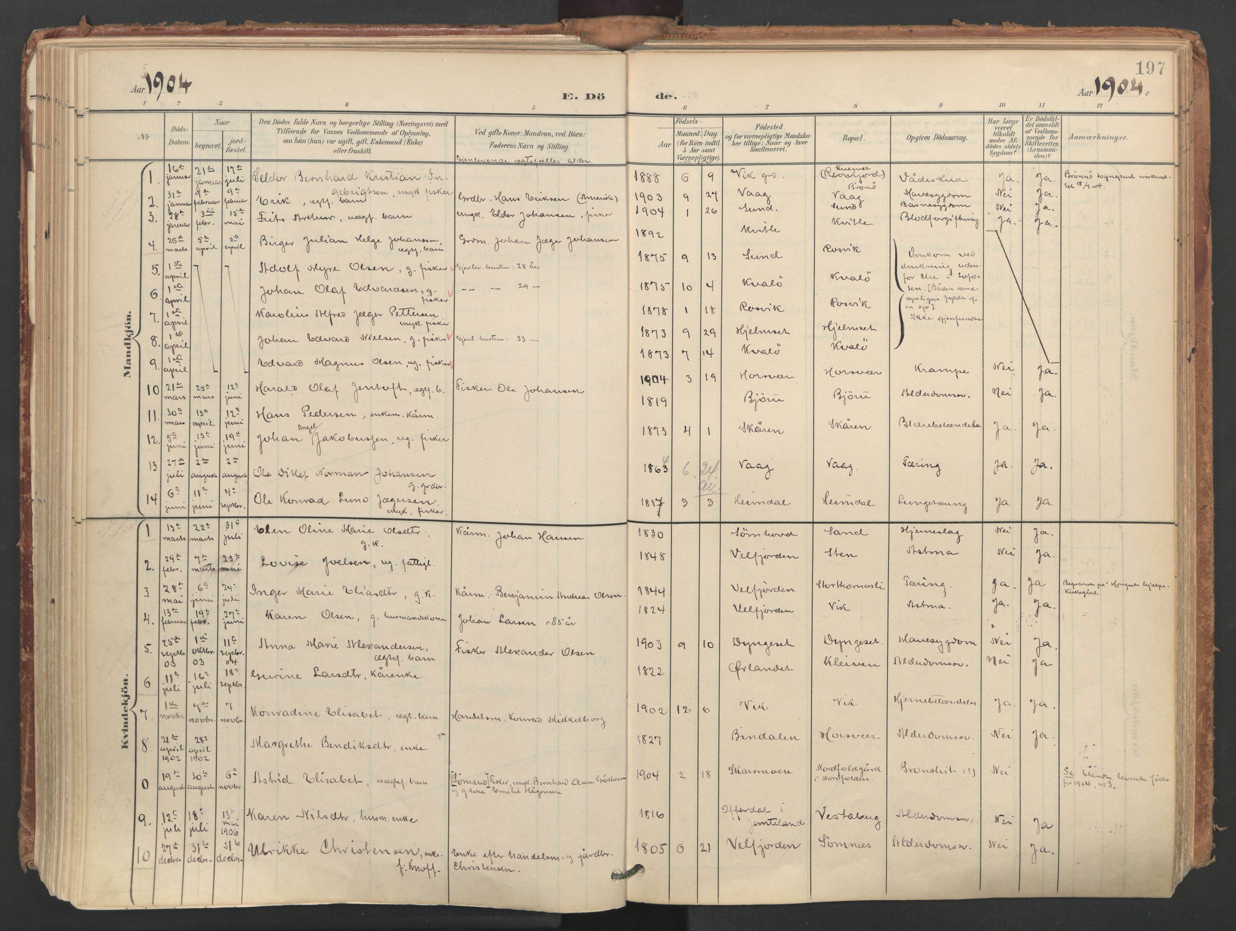 Ministerialprotokoller, klokkerbøker og fødselsregistre - Nordland, AV/SAT-A-1459/812/L0180: Parish register (official) no. 812A09, 1901-1915, p. 197