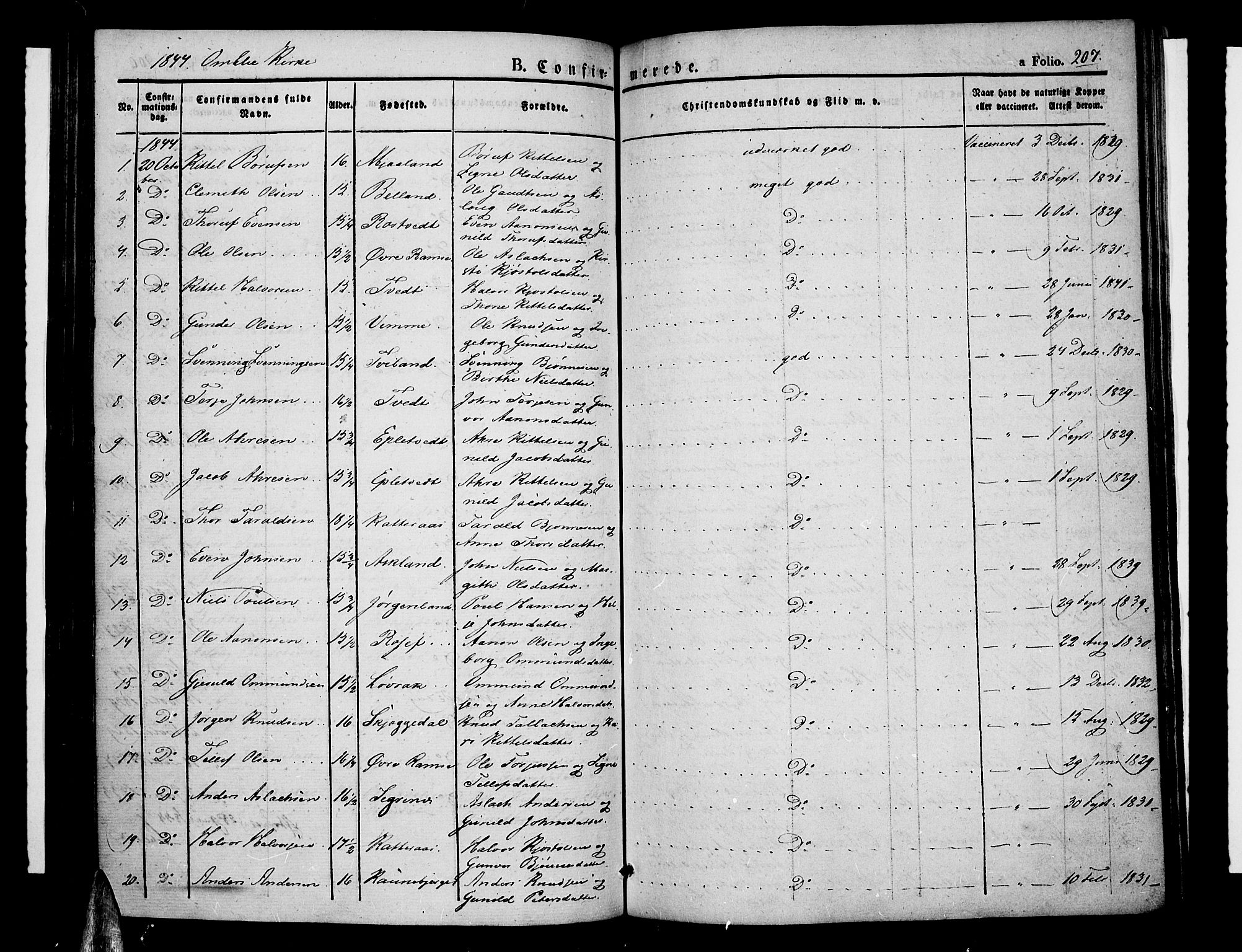 Åmli sokneprestkontor, SAK/1111-0050/F/Fa/Fac/L0007: Parish register (official) no. A 7 /1, 1829-1851, p. 207