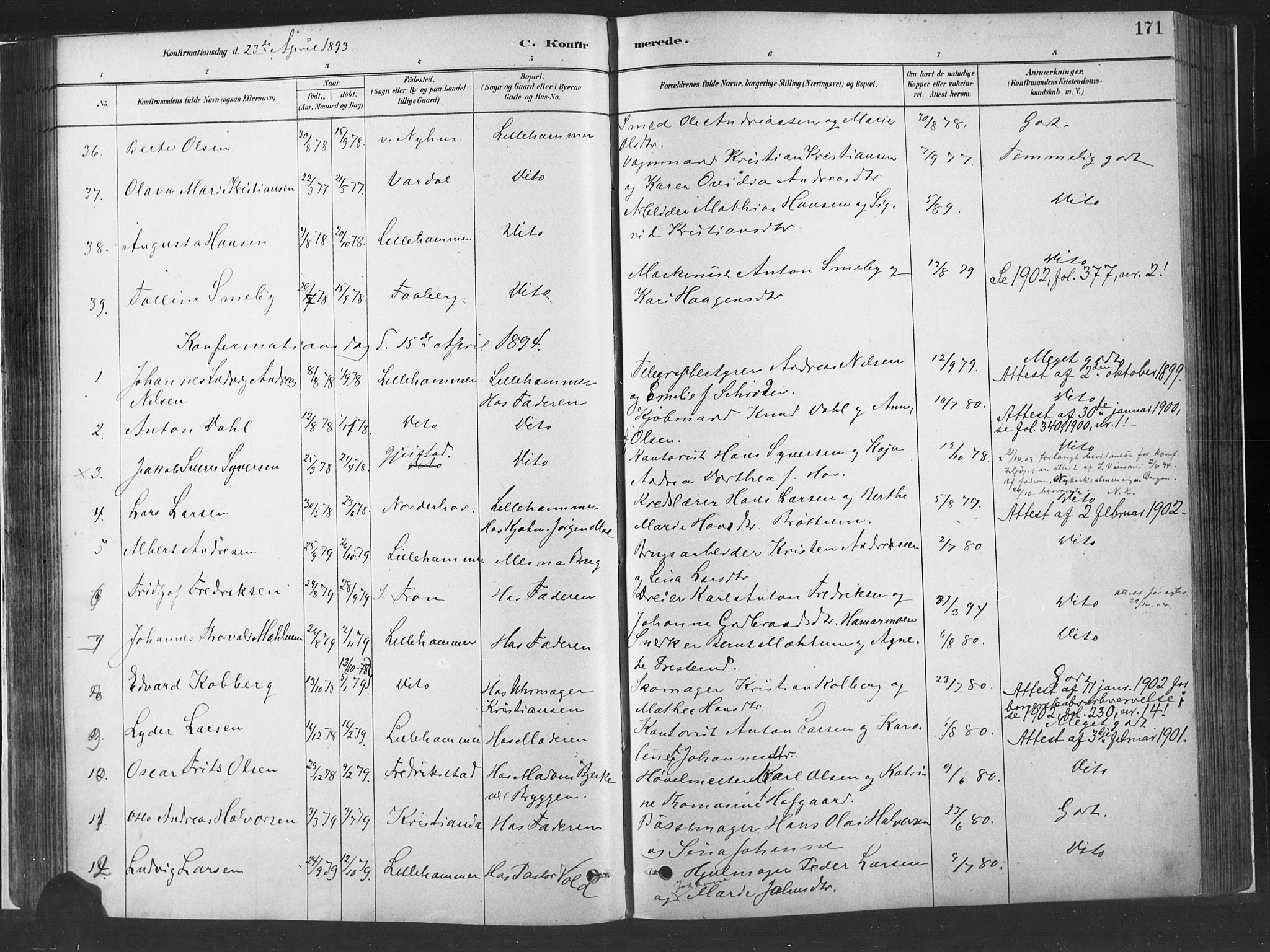 Fåberg prestekontor, SAH/PREST-086/H/Ha/Haa/L0010: Parish register (official) no. 10, 1879-1900, p. 171