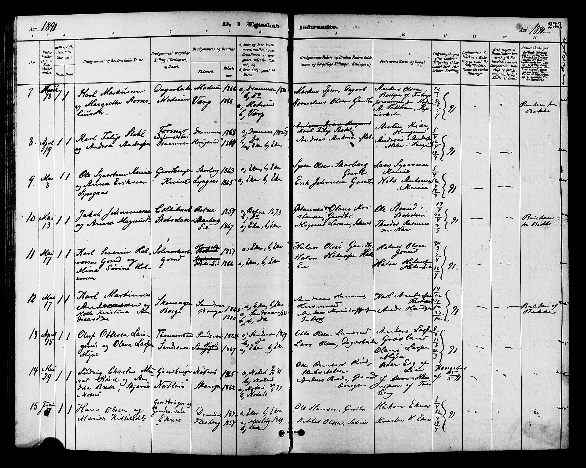 Eiker kirkebøker, SAKO/A-4/F/Fb/L0002: Parish register (official) no. II 2, 1889-1896, p. 233