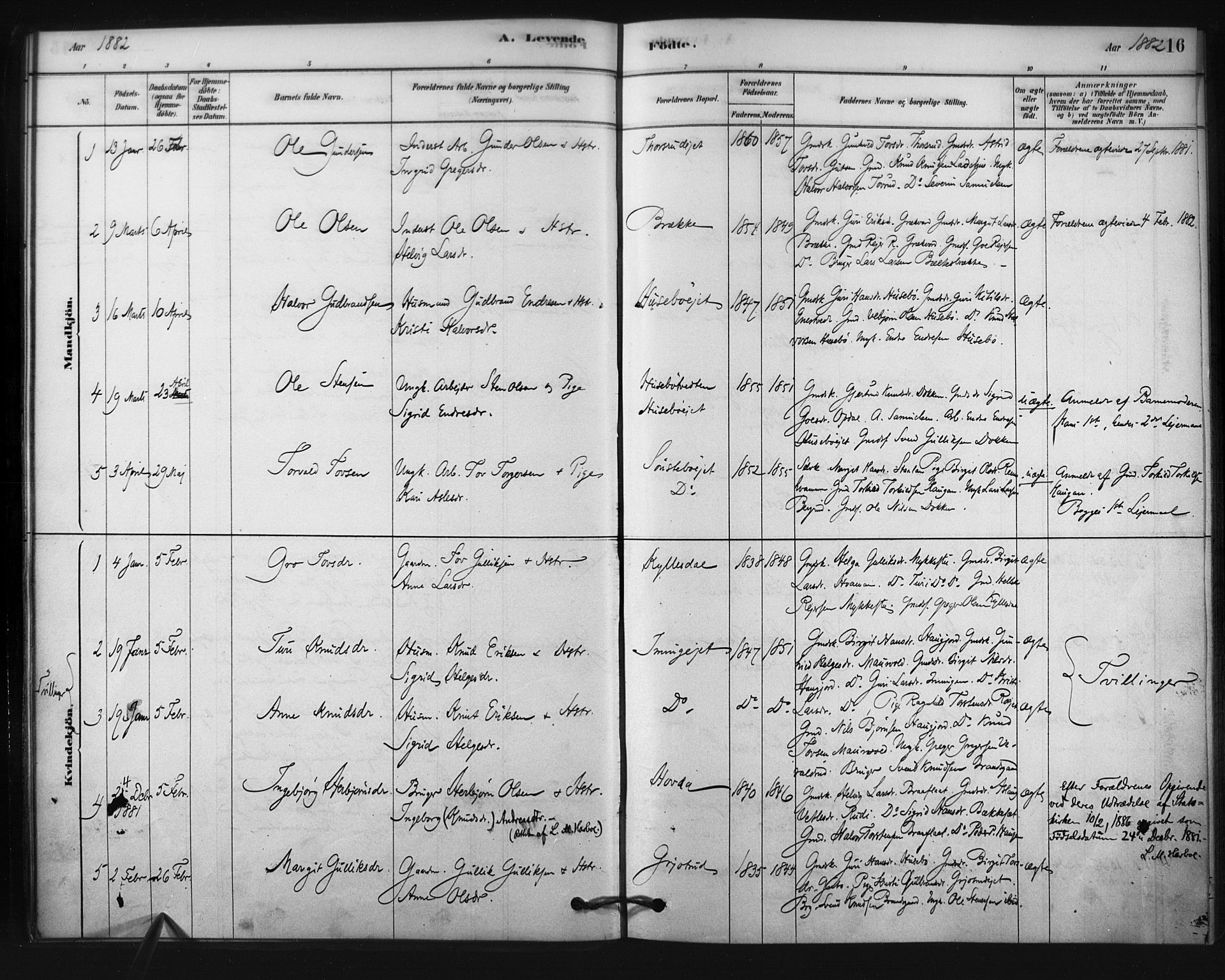 Nore kirkebøker, SAKO/A-238/F/Fc/L0003: Parish register (official) no. III 3, 1878-1884, p. 16
