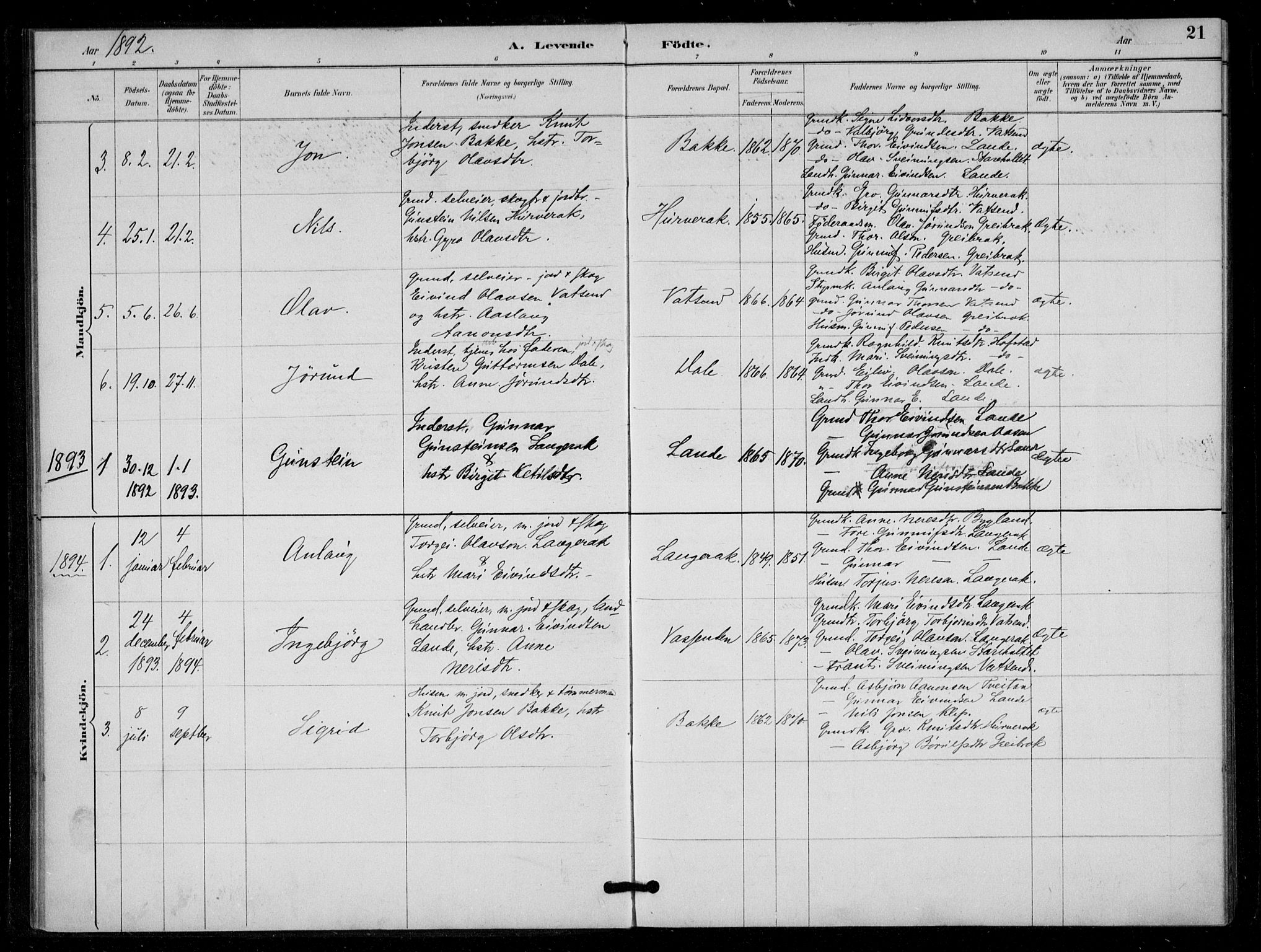 Bygland sokneprestkontor, AV/SAK-1111-0006/F/Fa/Fad/L0001: Parish register (official) no. A 1, 1885-1906, p. 21