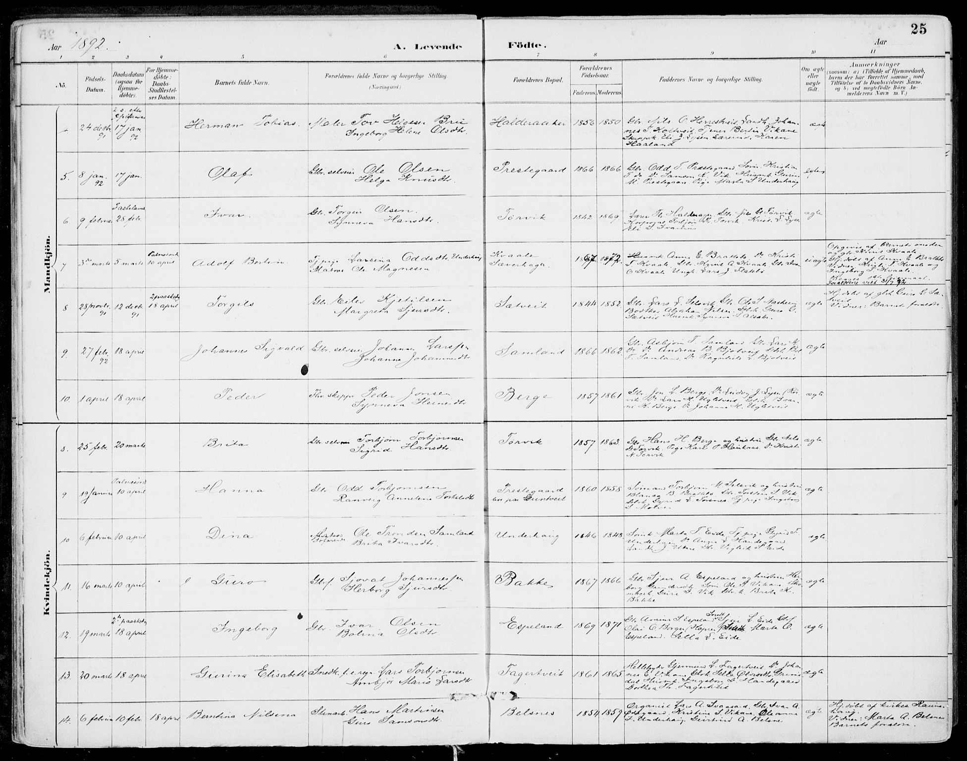 Strandebarm sokneprestembete, SAB/A-78401/H/Haa: Parish register (official) no. E  1, 1886-1908, p. 25