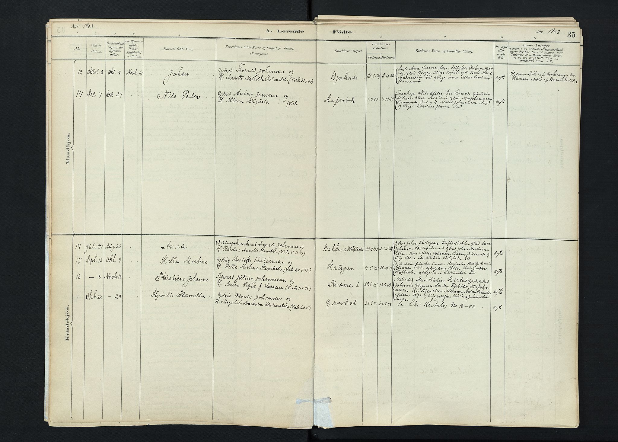 Stokke kirkebøker, SAKO/A-320/F/Fc/L0001: Parish register (official) no. III 1, 1884-1910, p. 35