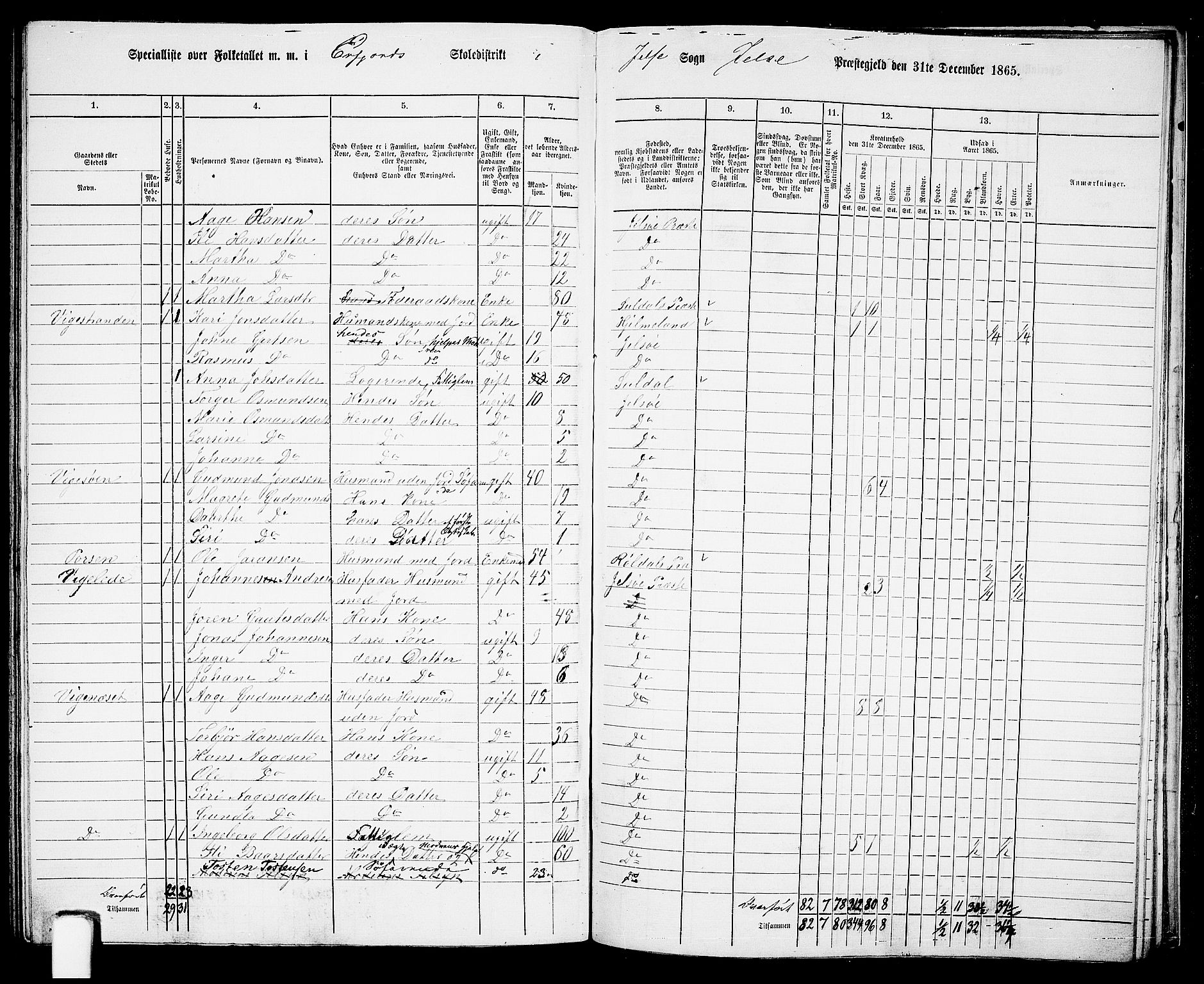 RA, 1865 census for Jelsa, 1865, p. 100