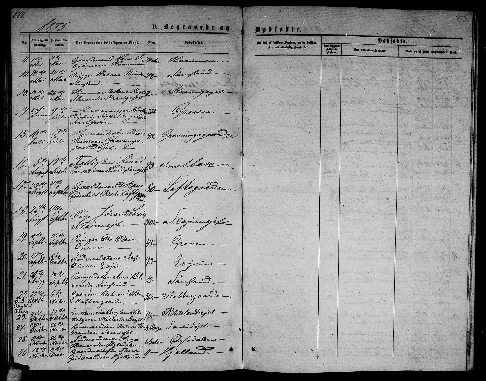 Nore kirkebøker, AV/SAKO-A-238/G/Ga/L0001: Parish register (copy) no. I 1, 1872-1877, p. 177