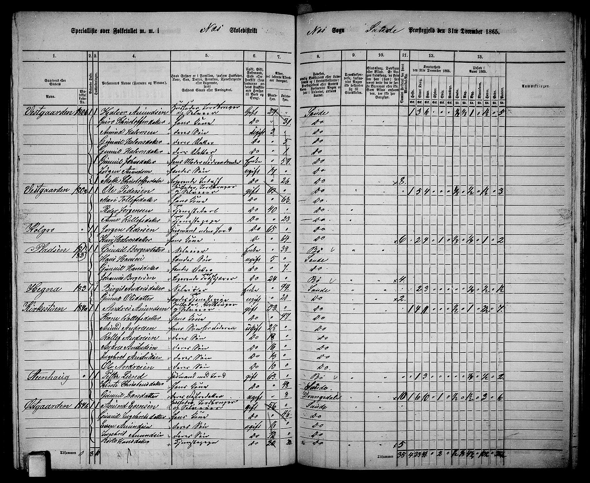 RA, 1865 census for Sauherad, 1865, p. 124